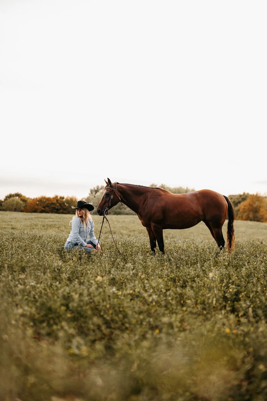 A woman kneeling in a grassy field next to a brown horse, both facing to the right, with trees in the background during autumn.