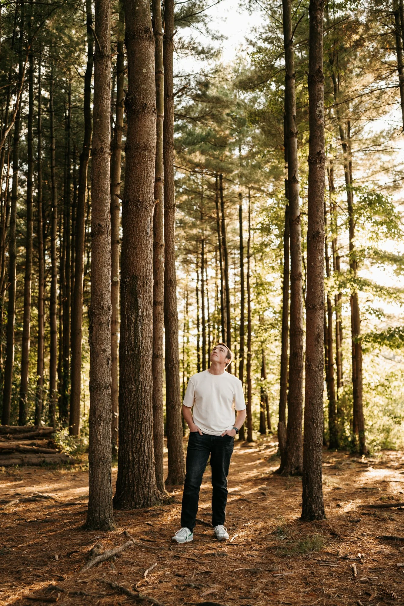 A young man stands in a forest, looking up at the tall trees around him during sunset.