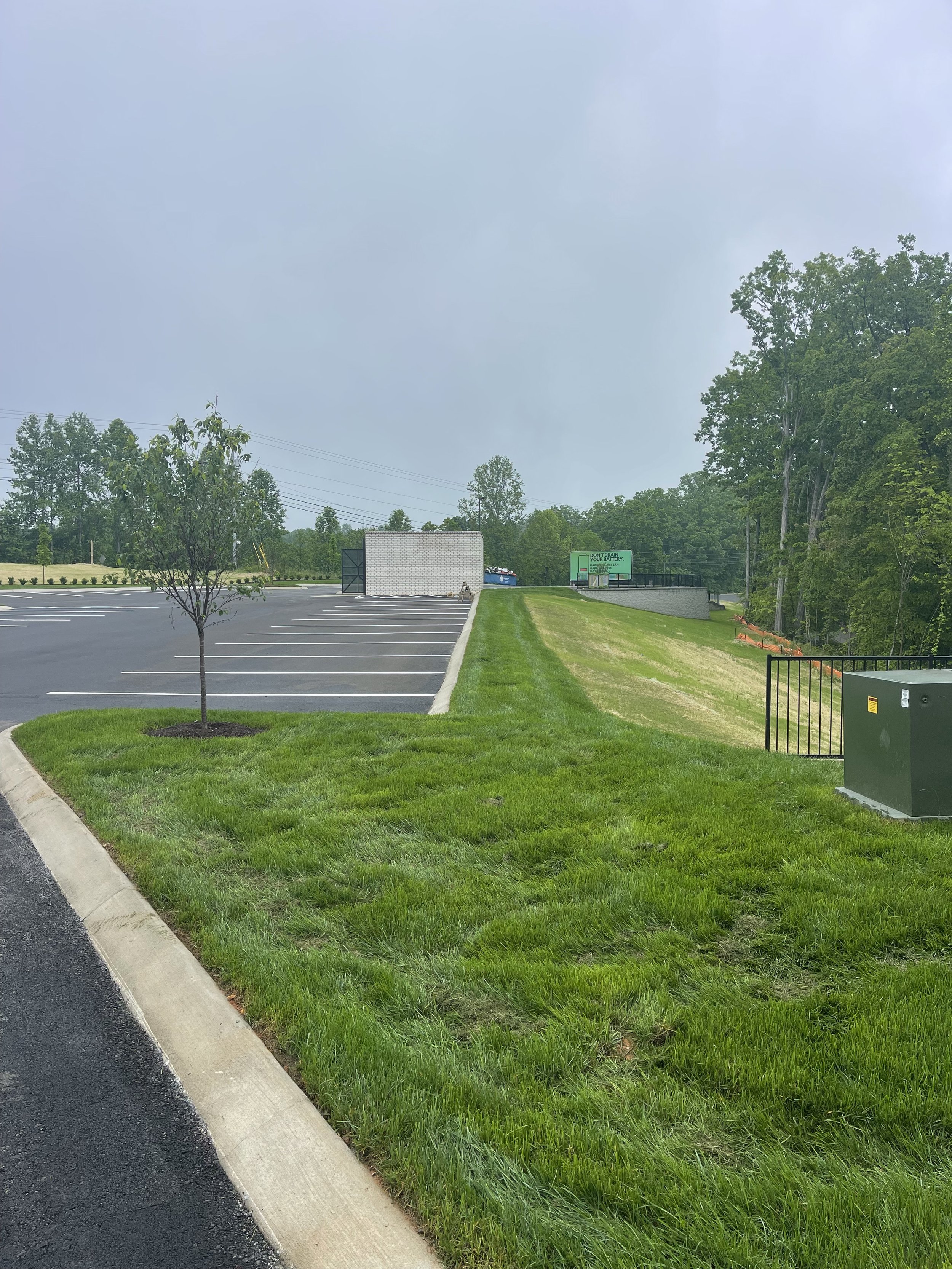 Empty parking lot with a single small tree and grassy area, surrounded by green trees and cloudy sky.