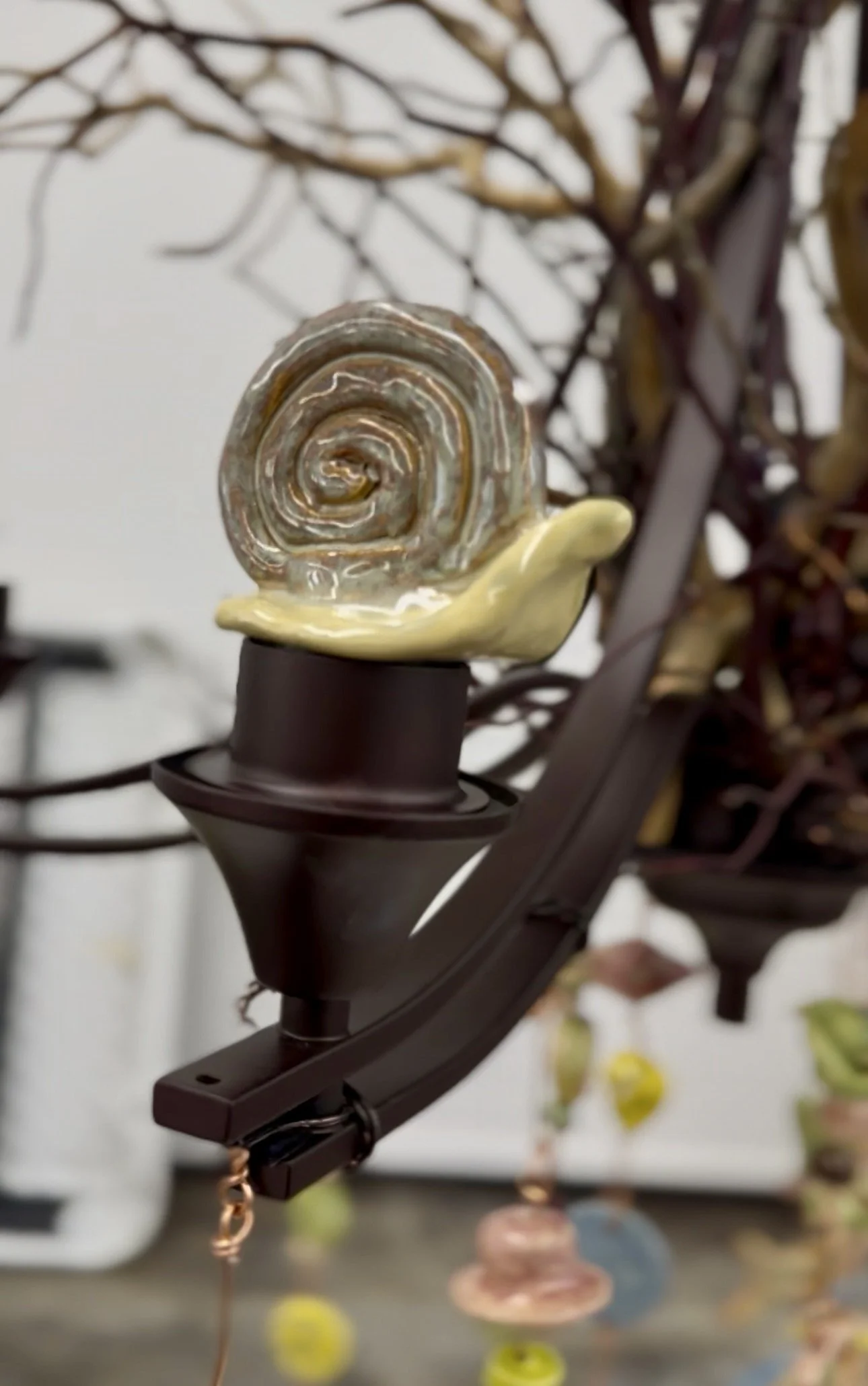 snail.jpg
