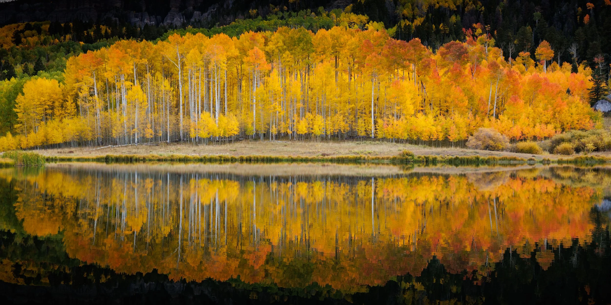 Fall foliage of yellow, orange, and red trees reflected in a calm lake with forested hillside in the background.