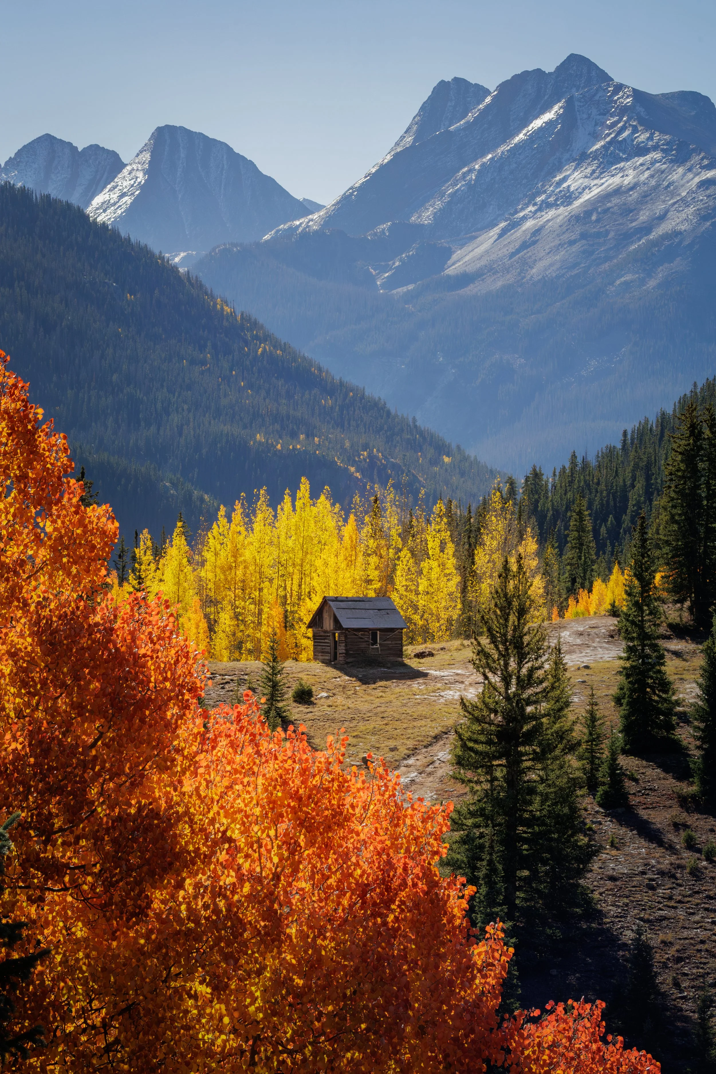 A scenic mountain landscape featuring snow-capped peaks in the background, a forest of green and yellow trees in the midground, and an orange autumn tree in the foreground, with a small wooden cabin nestled among the trees.
