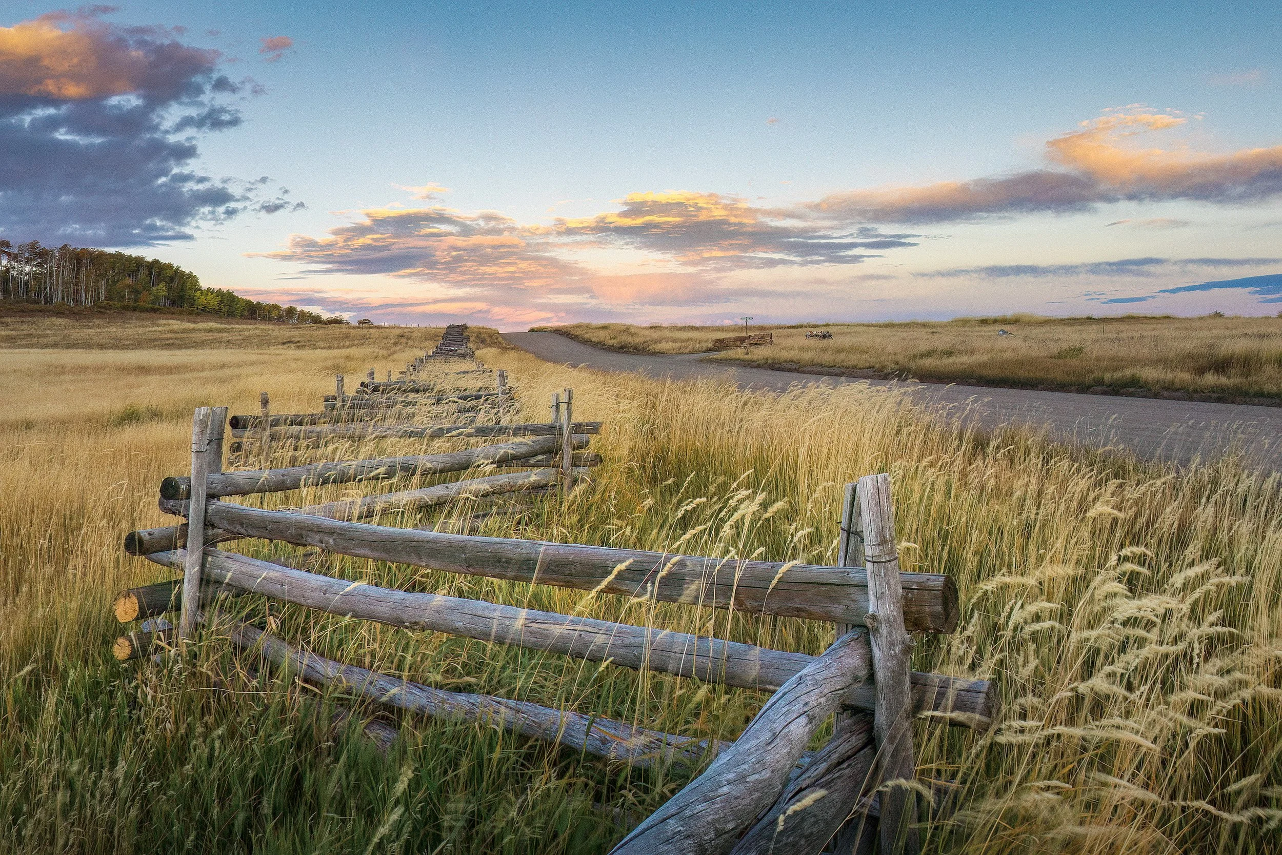 A rural sunrise reveals two ways forward: a straight road and a zigzag fence, each moving toward the same horizon.