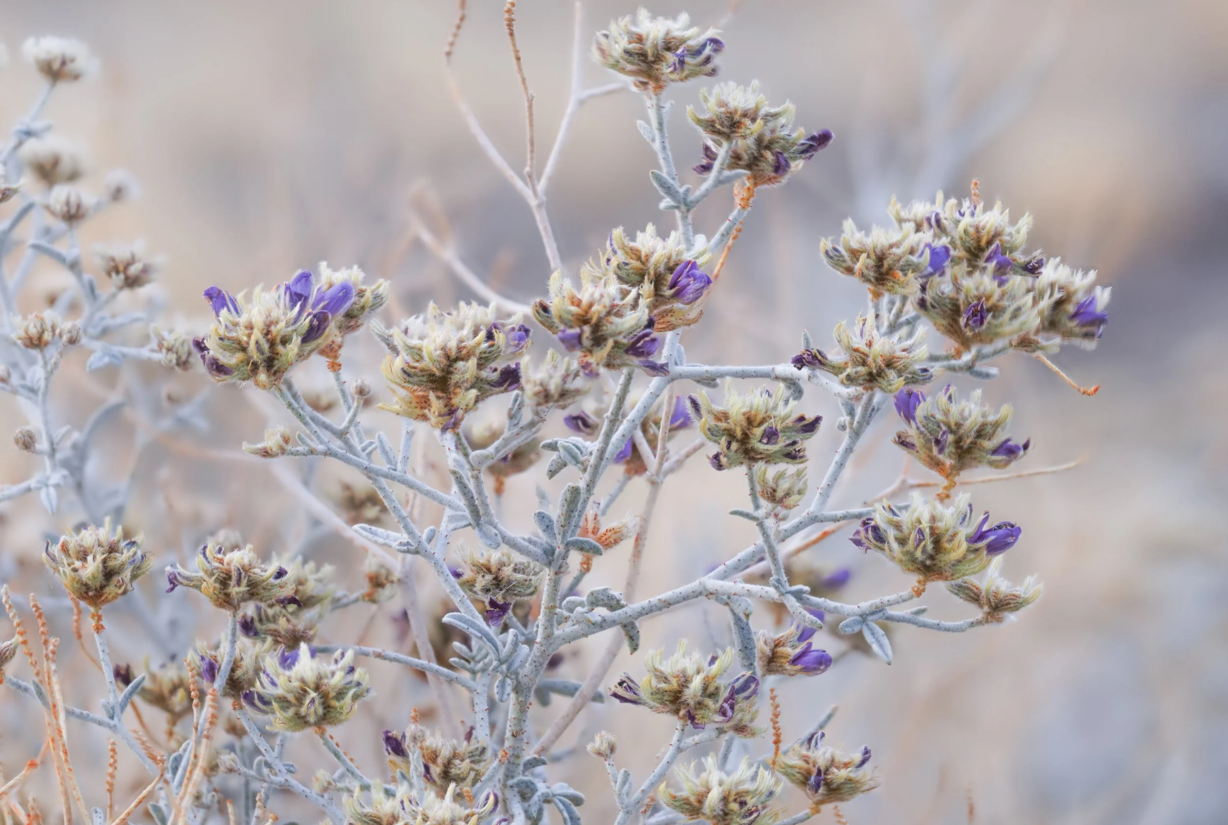 2026-01-07 11-11-52 (A,R8,S4).jpg