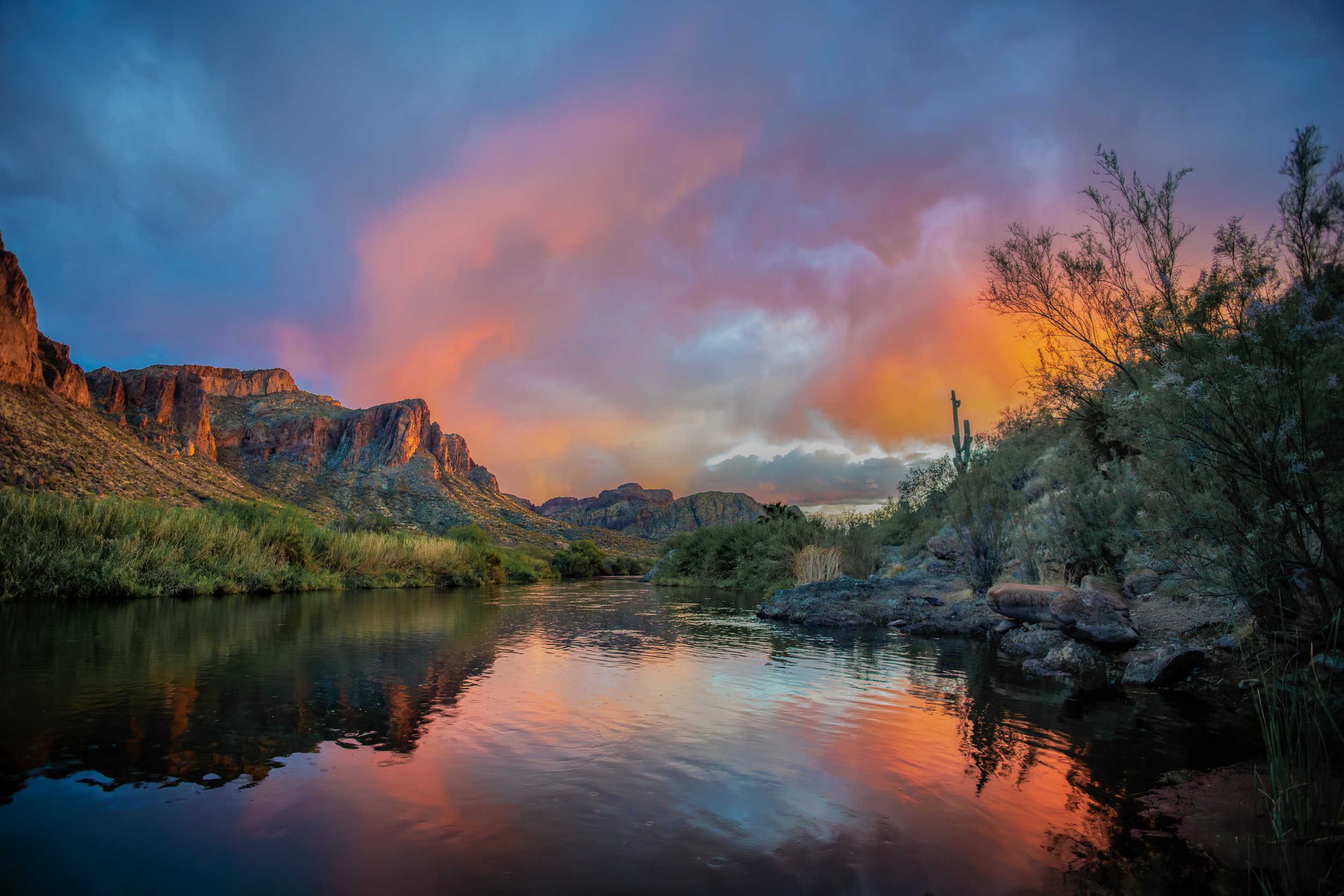 The Squalls Gift.jpg