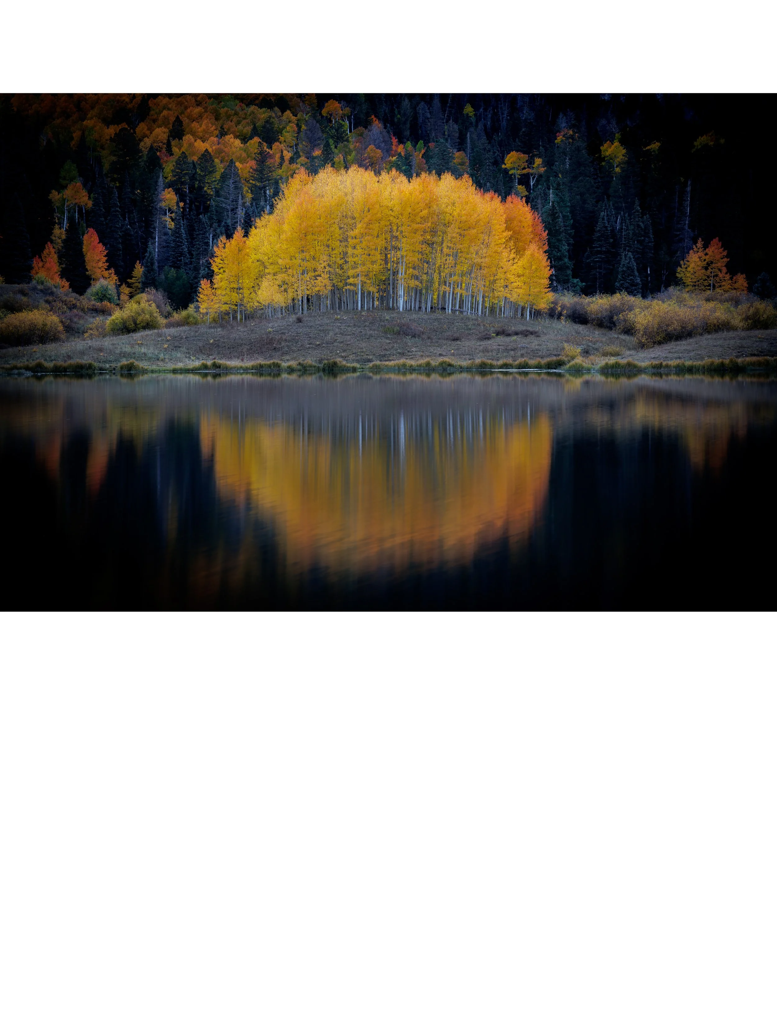 Fall landscape with yellow trees by a calm lake, surrounded by dark evergreen trees and mountains.