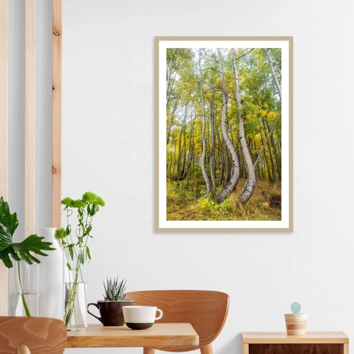 A Dance with Aspens.jpeg