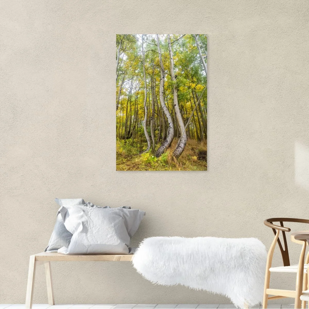 A Dance With Aspens 2.jpeg