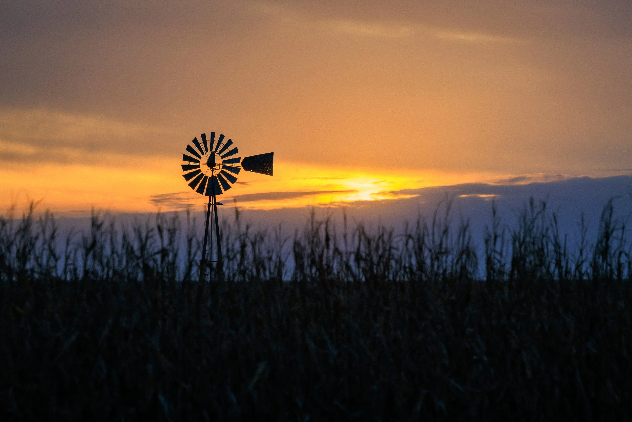 Nebraska (2).jpg
