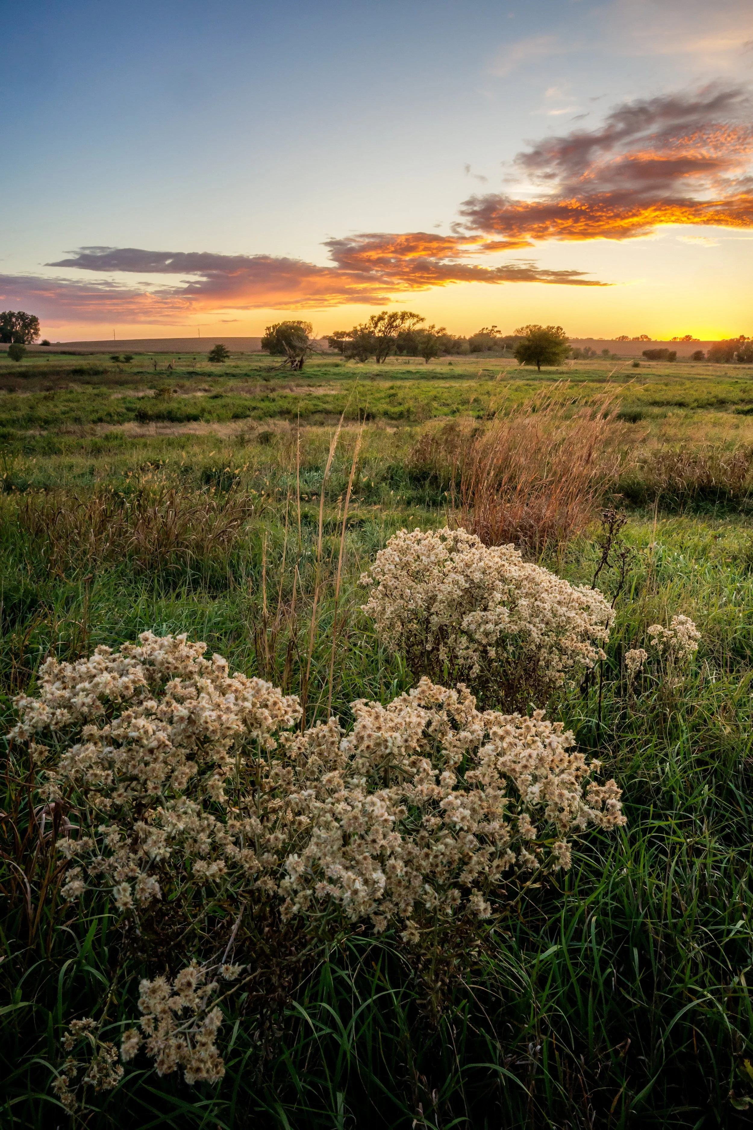 Nebraska (11).jpg