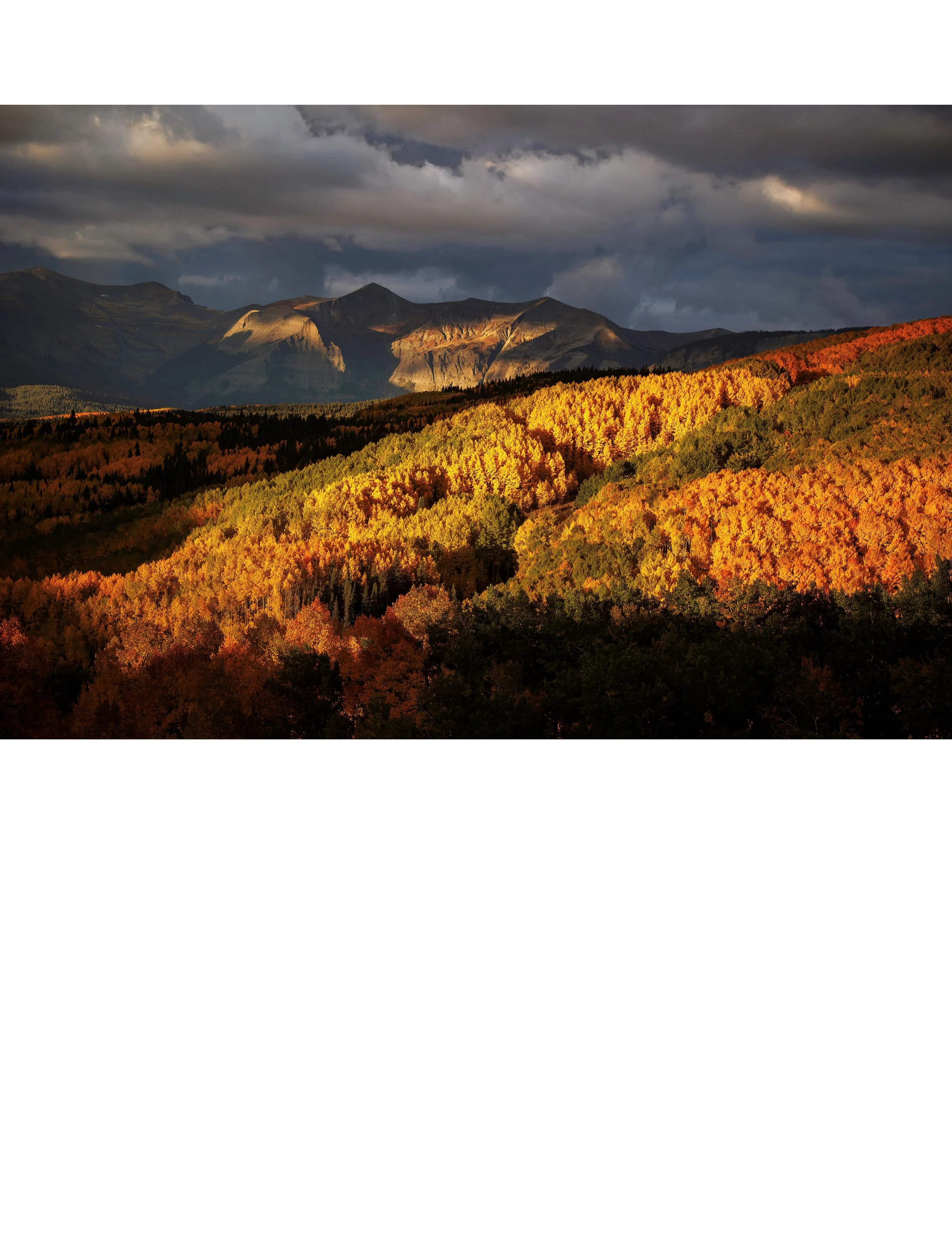 Gold Before The Storm 34.jpg
