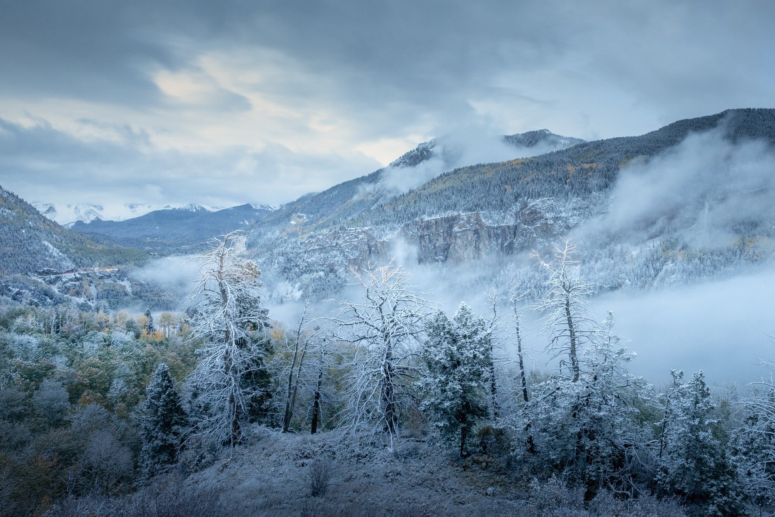 Frosty mountain valley in morning light with snow dusted trees, mist drifting through the canyon and distant peals abscured by low clouds. A light coating of snow blankets the trees.
