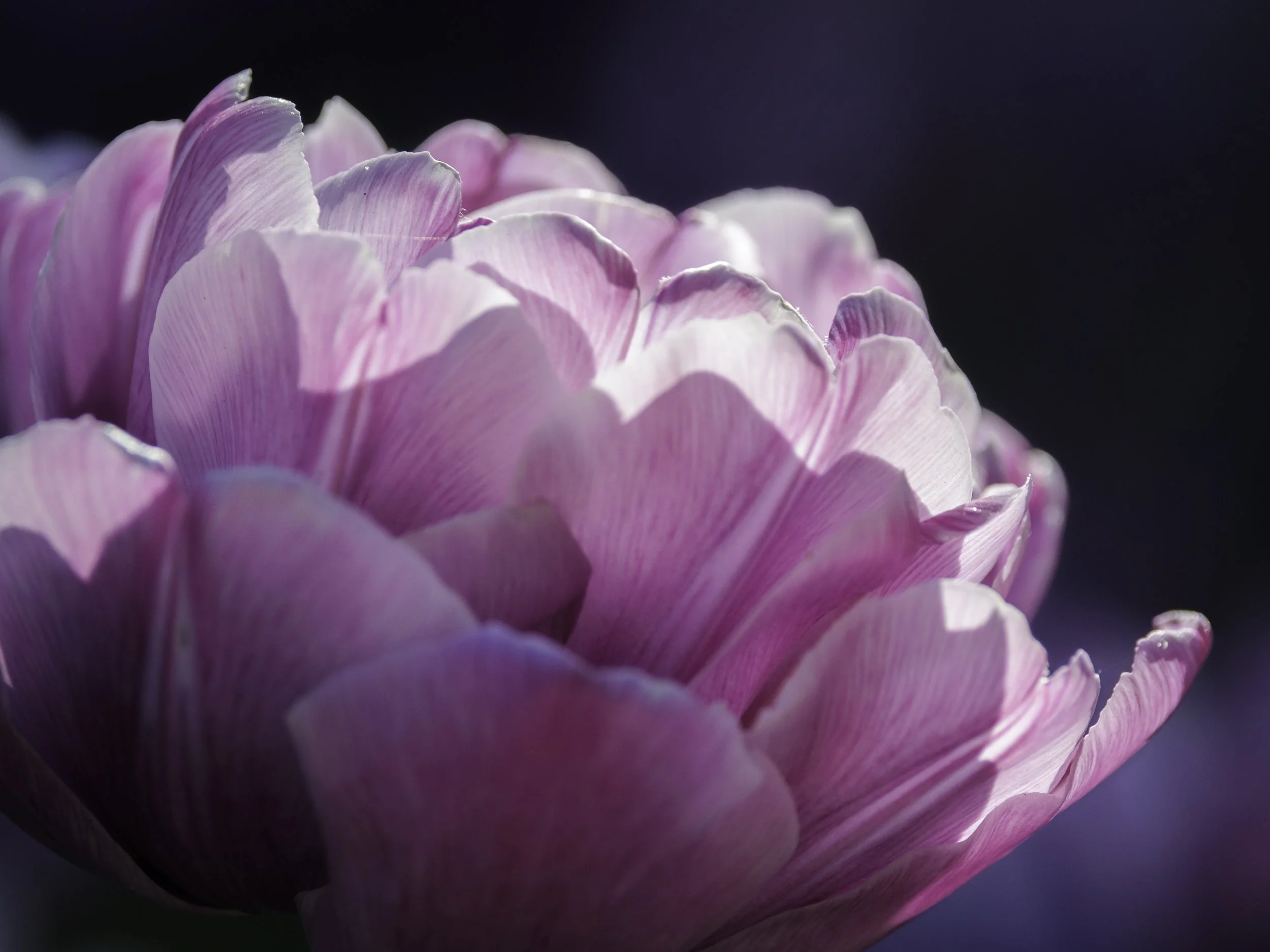 E80A9363.jpg