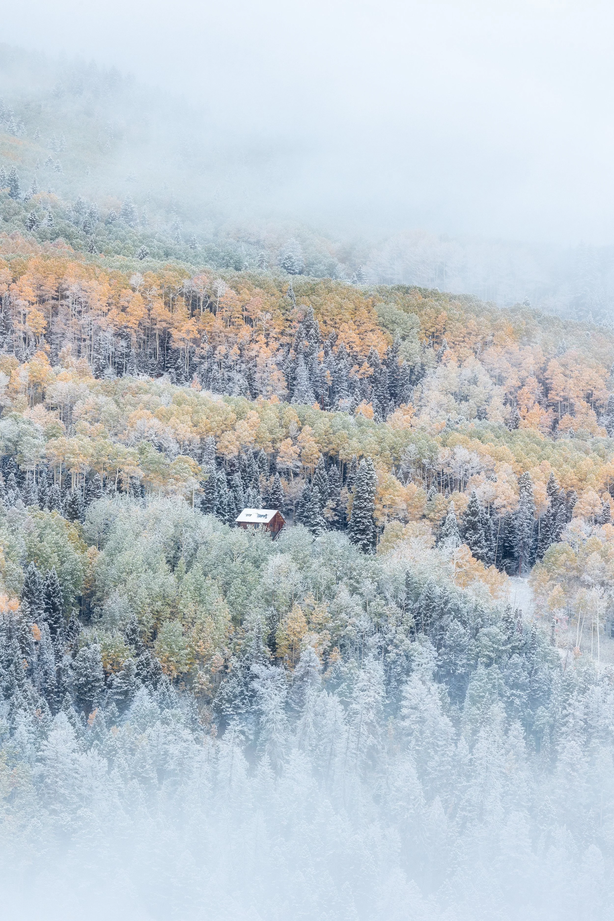 Snow-covered forested mountain with a small house among the trees, foggy atmosphere.