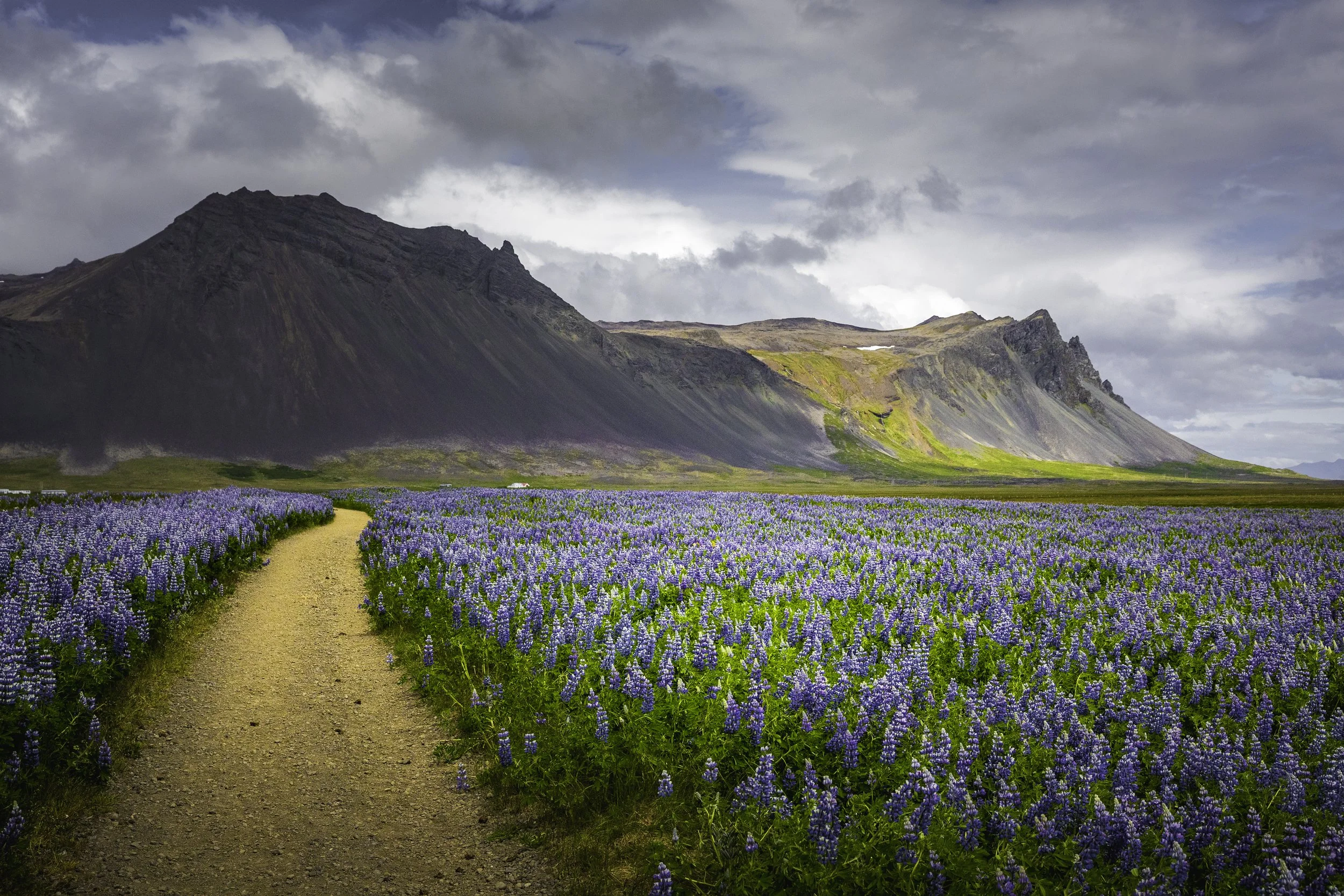 Stígur (The Path)