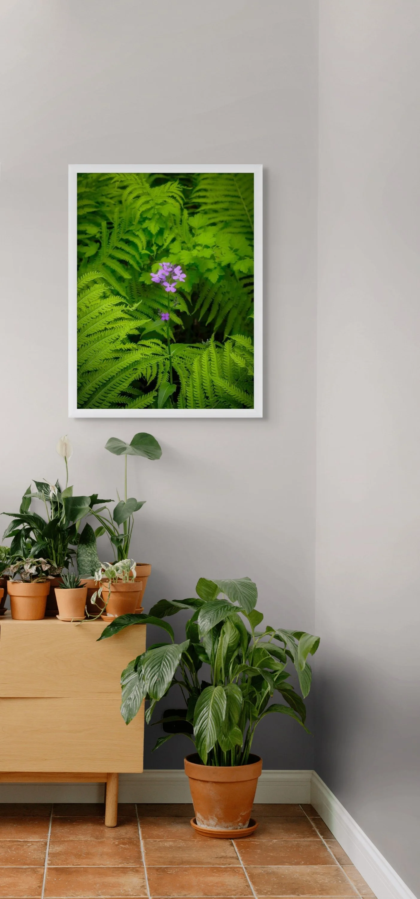 Indoor garden with potted plants on a light wooden cabinet and a framed green foliage and purple flower photograph on the gray wall.