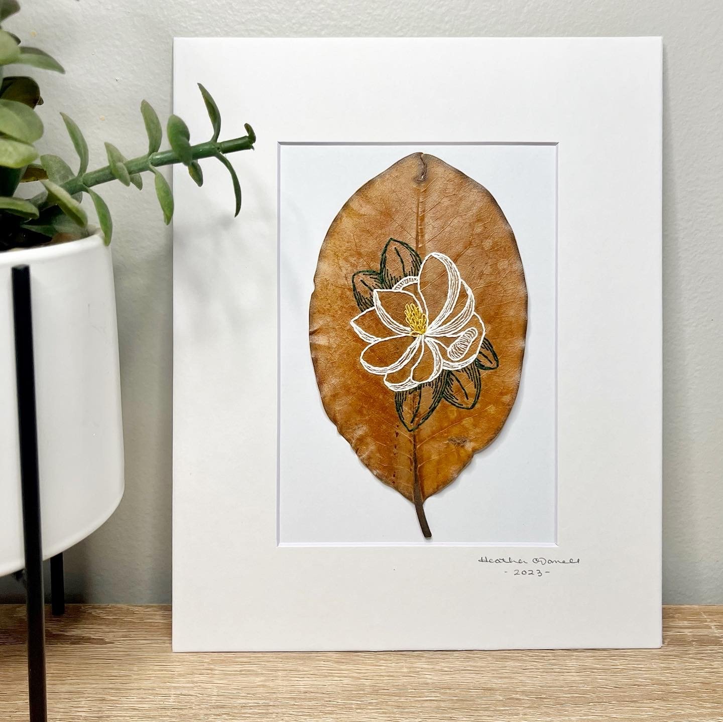 Magnolia