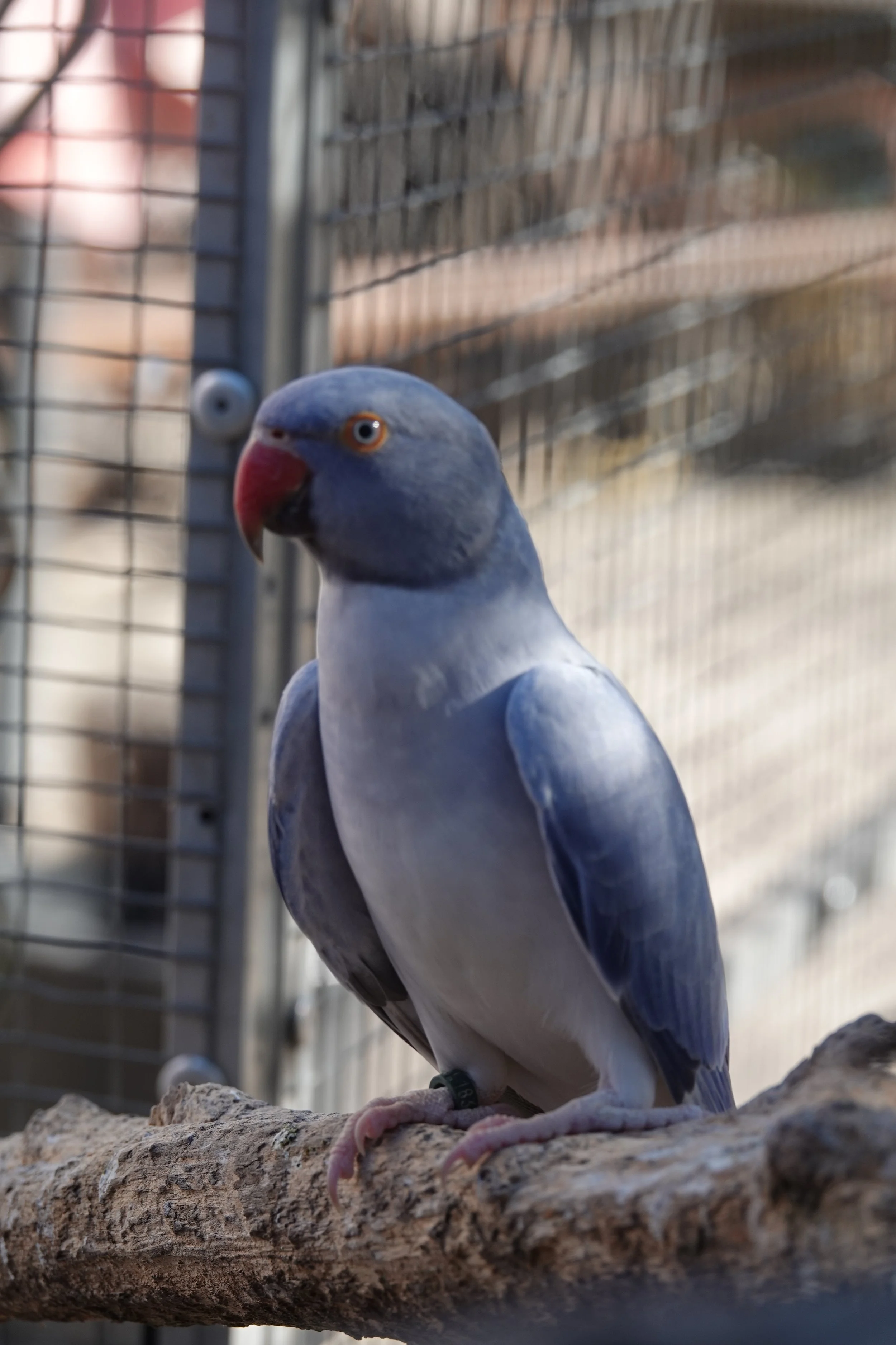 Septembre 2026