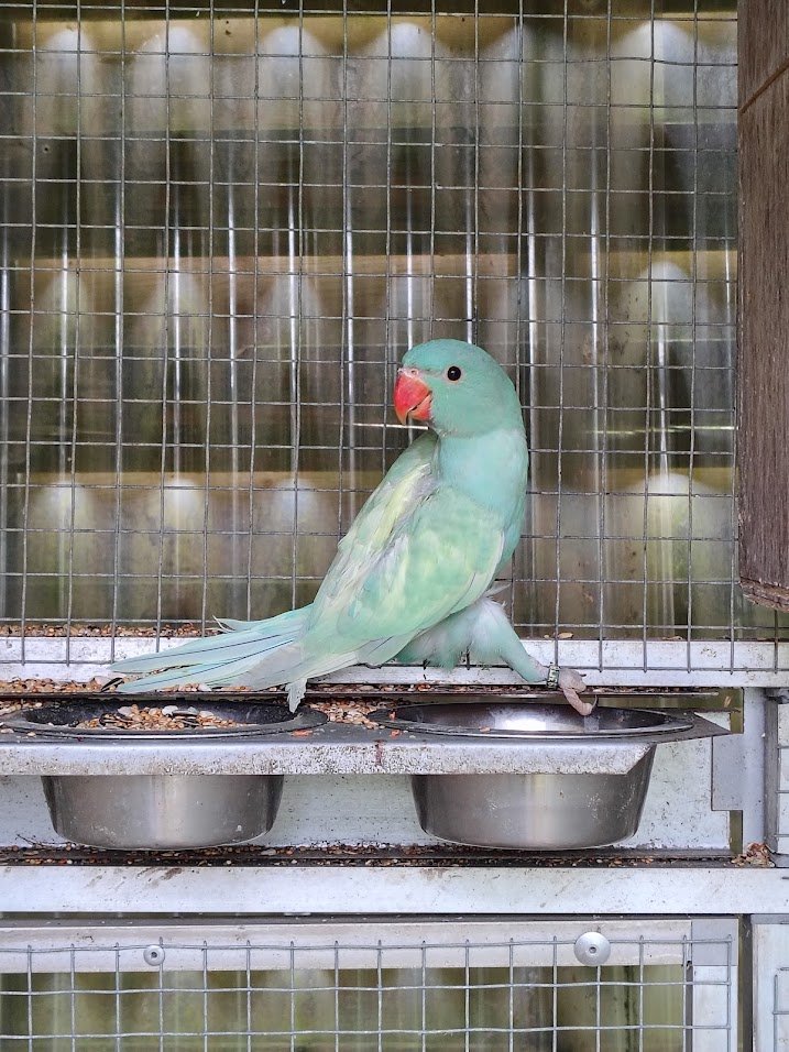 13 mai 2026