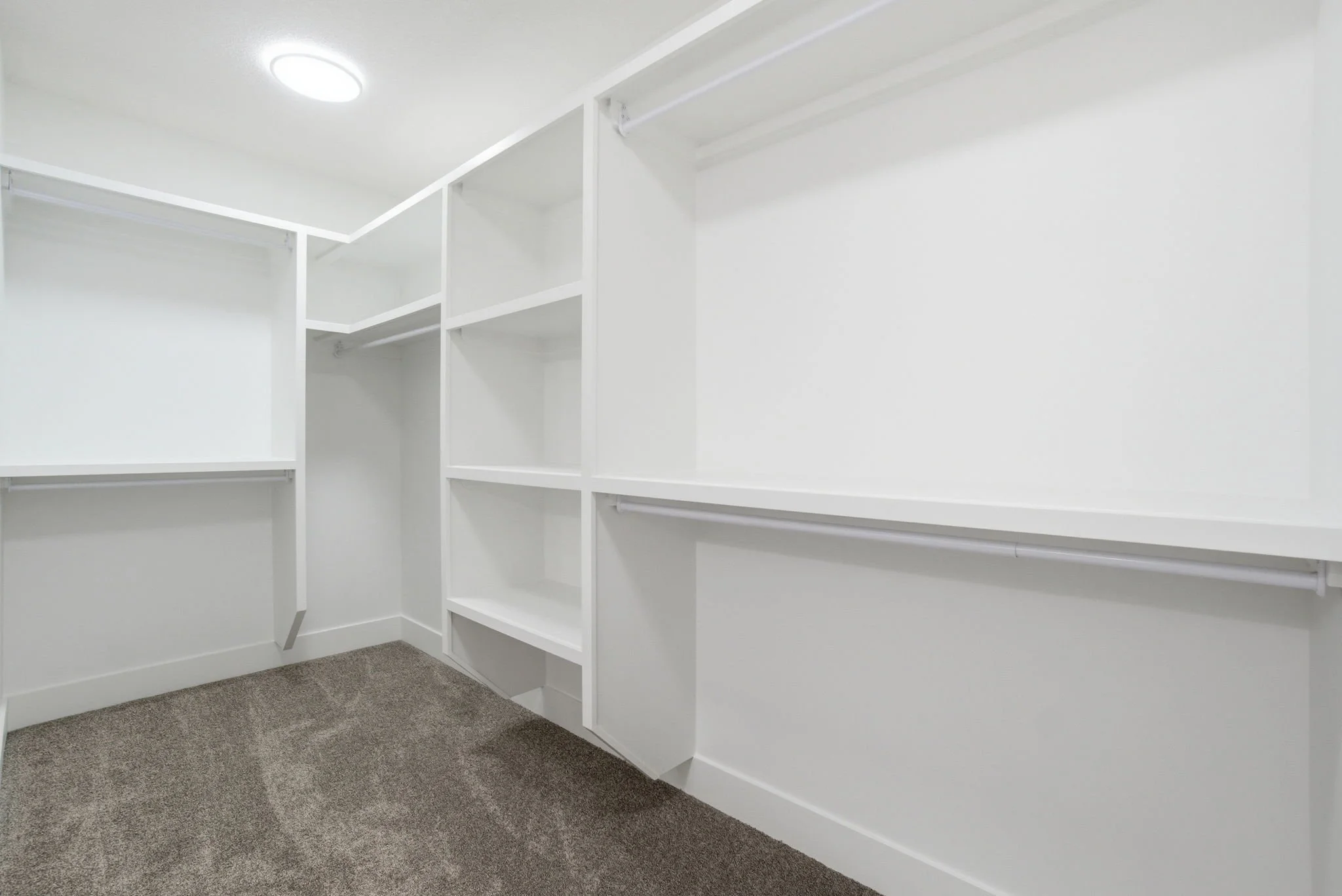 Empty white walk-in closet with built-in shelves and hanging rods, carpeted floor, and ceiling light.