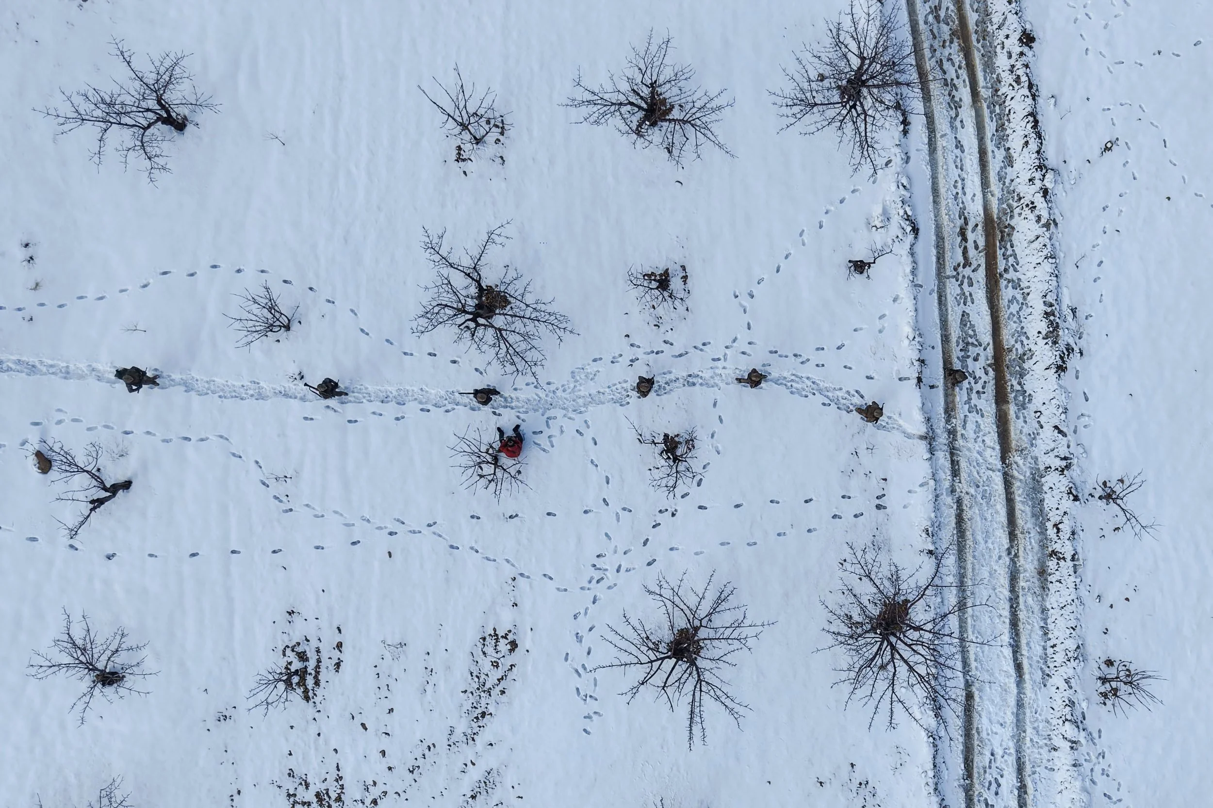 The World This Week In Ten Pictures: December 28 2025-January 4 2026 