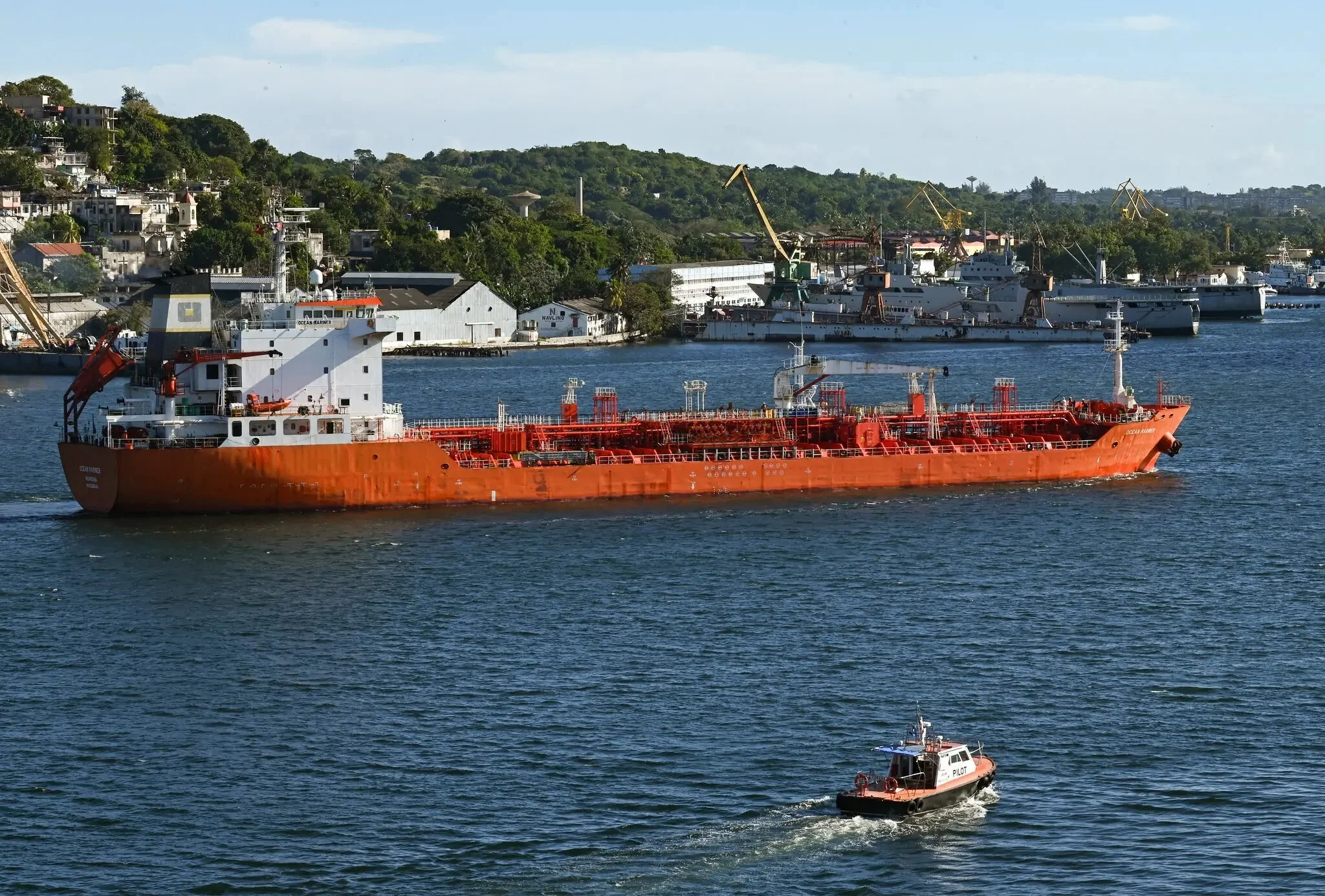 The Weekly Report: January 25-February 1  2026 