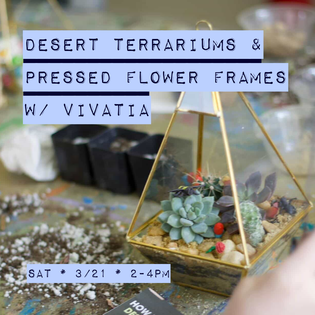 Desert Terrariums & Pressed Flower Frames with Vivatia