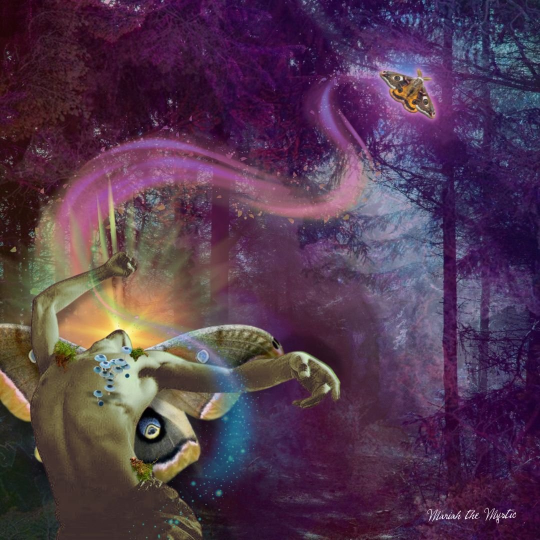 Birth Chart Collage