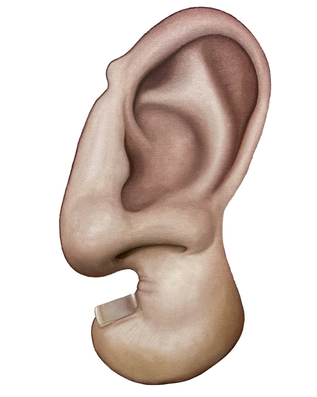 ear-nose-toe (self-portrait), 2022