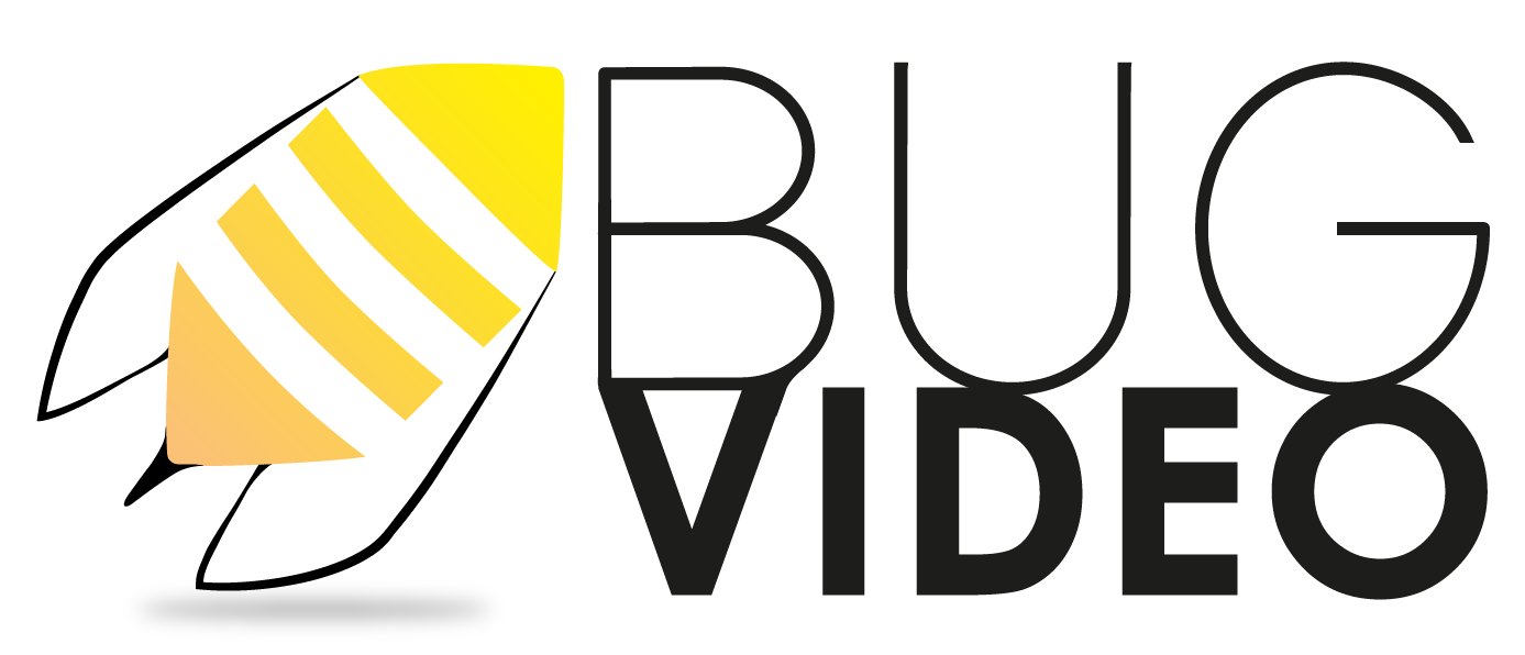Stylized bee illustration with the text "BUG VIDEO."