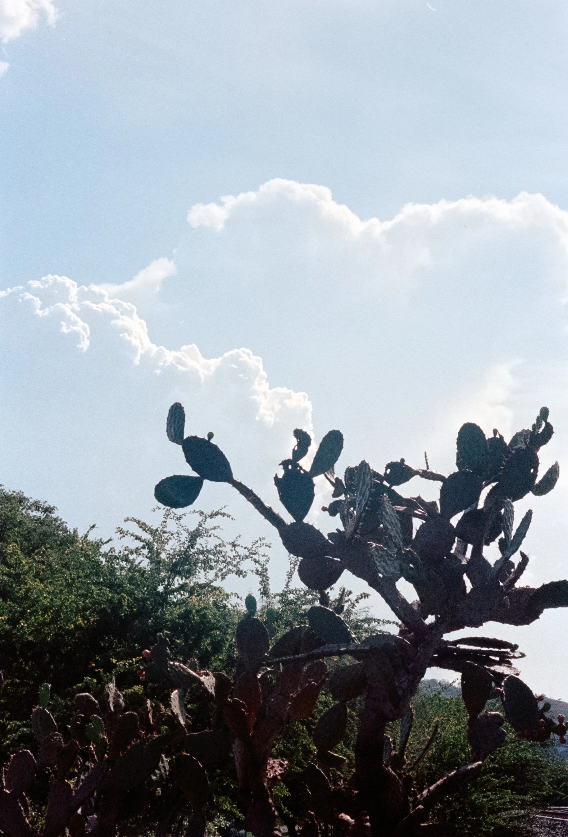 film-9.jpg
