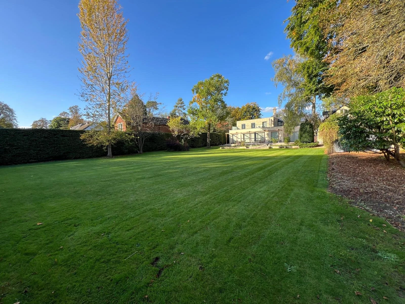 big back garden.jpg