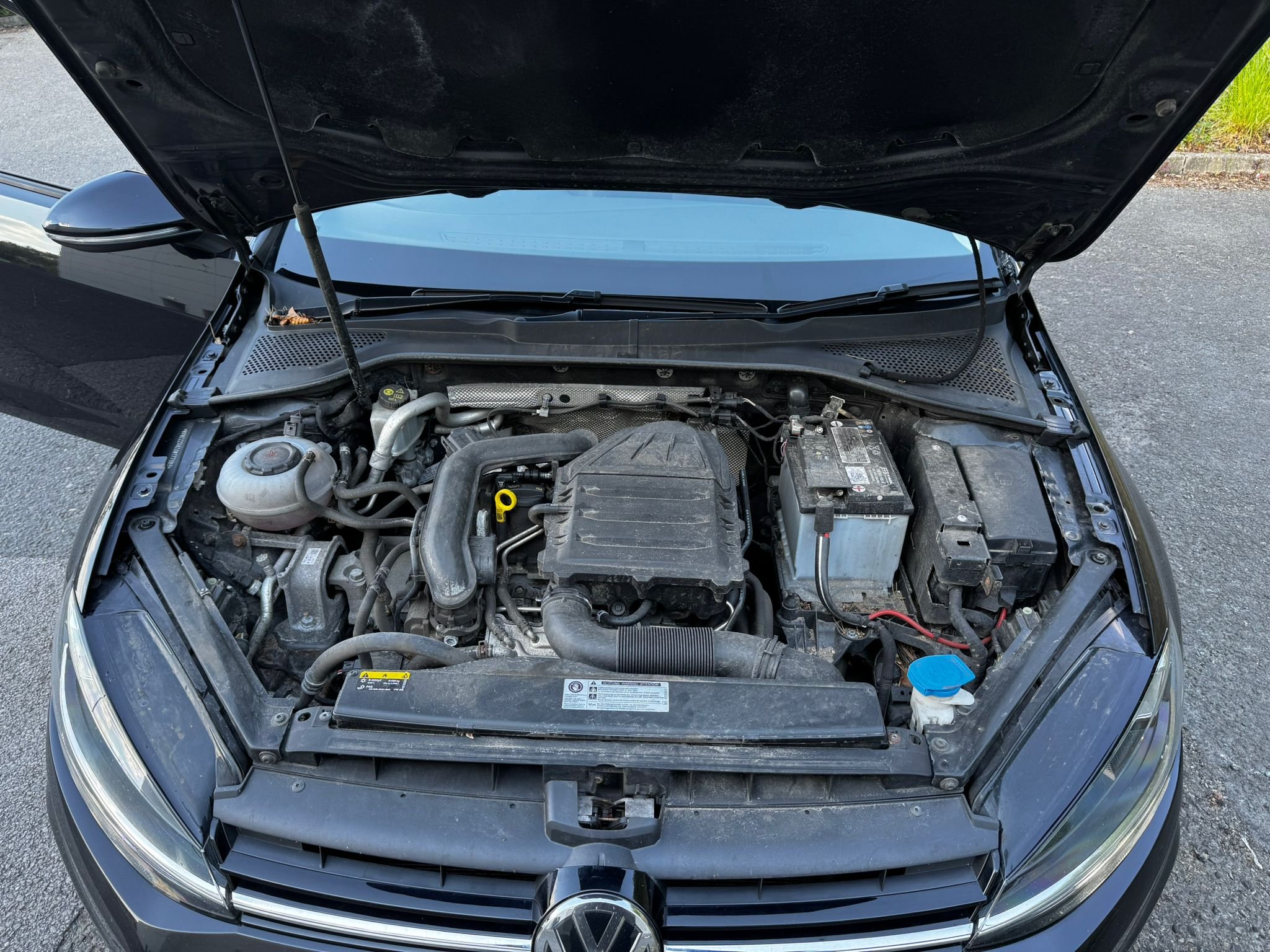 D025A237-1F56-4571-B62F-A0EDAFDEE47C.jpeg