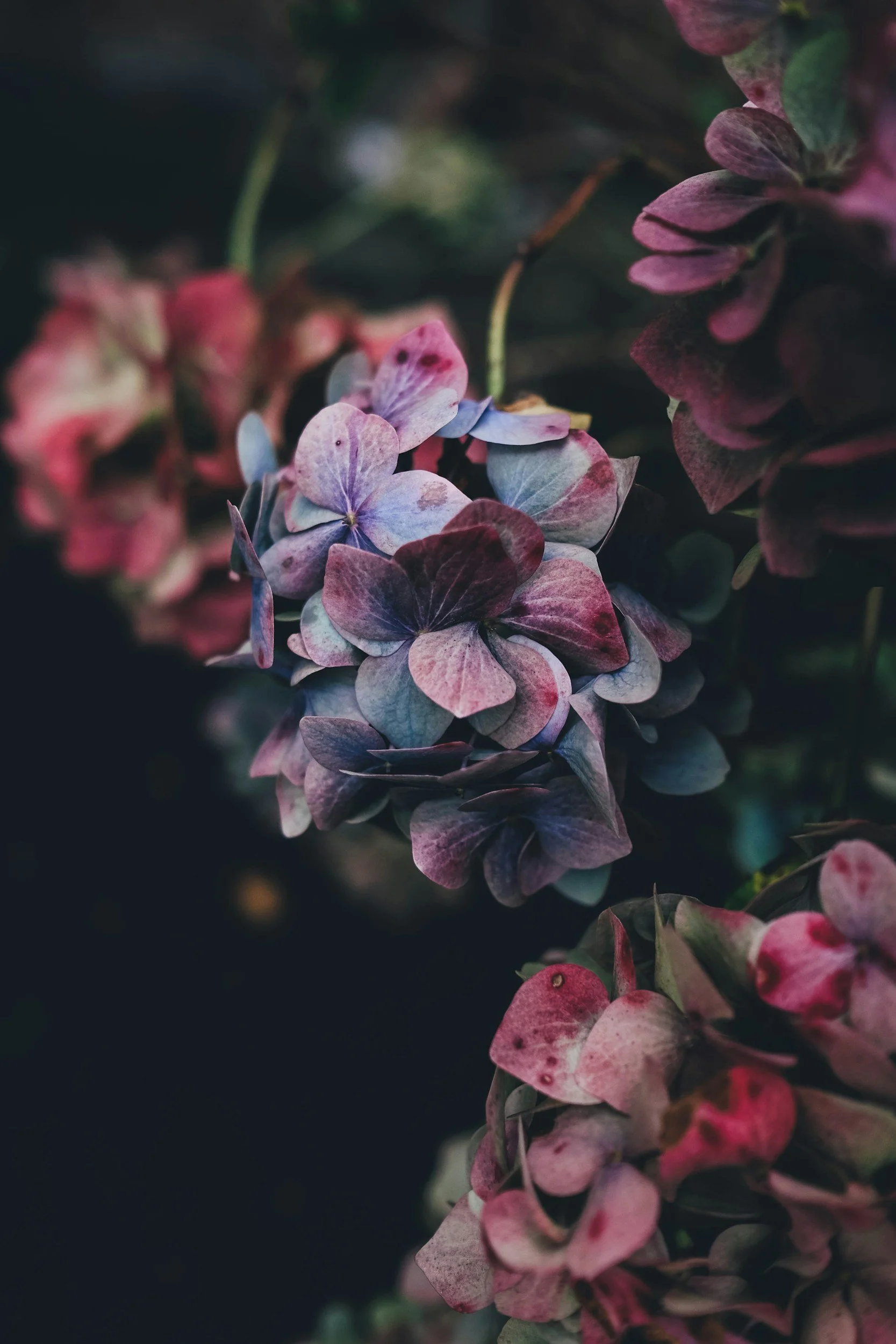 flourish
