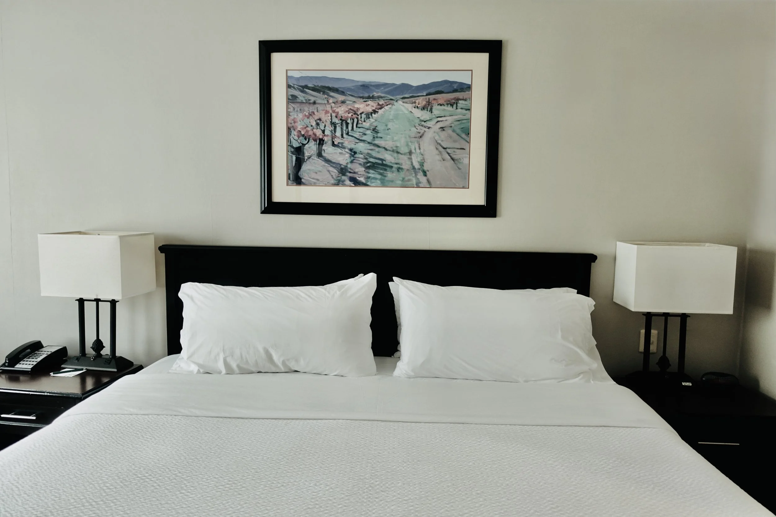  Mi experiencia profesional en Holiday Inn Reynosa Zona Dorada, an IHG Hotel: más que imagen, identidad de marca