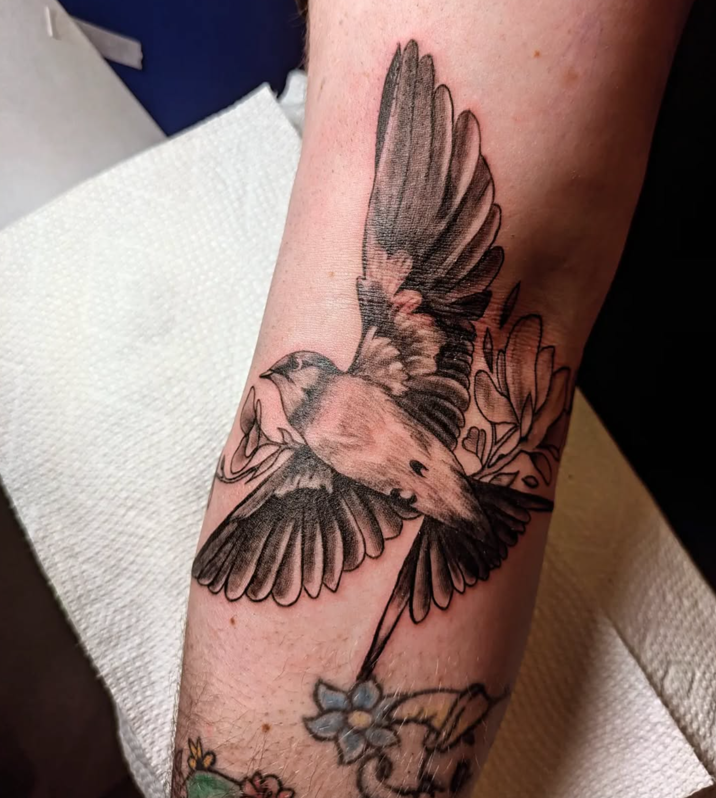 Flying Bird tattoo by tattoo artist Willow Thomason located in Wolfville, Nova Scotia