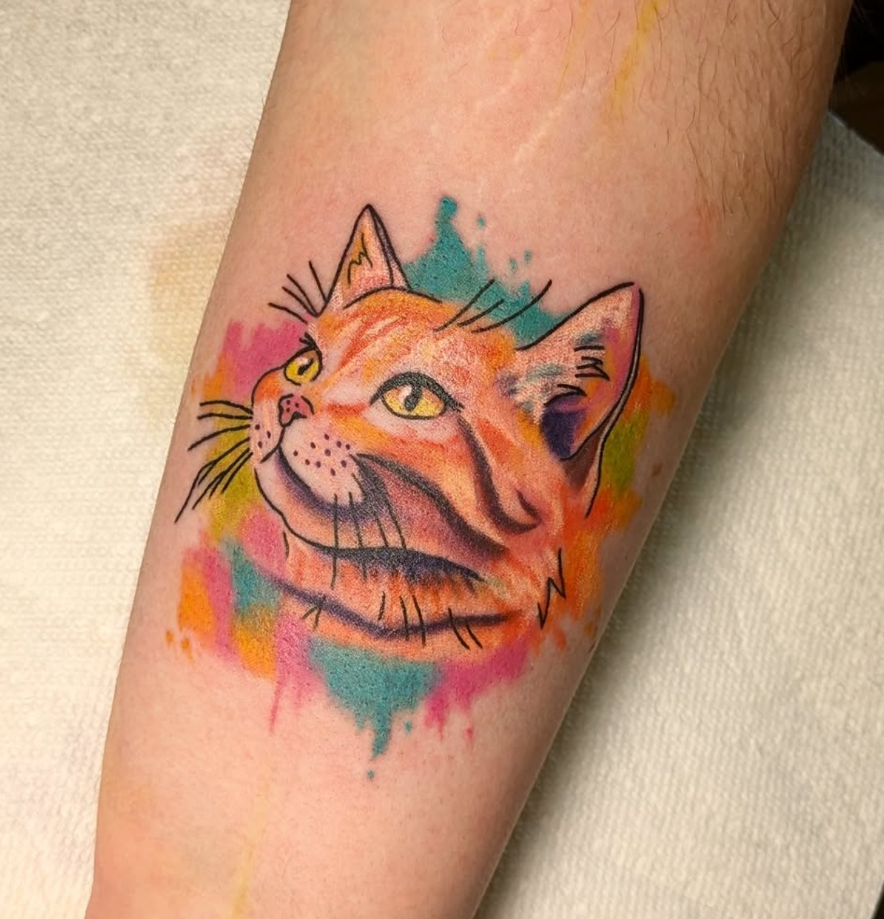 Watercolour Cat tattoo by tattoo artist Willow Thomason located in Wolfville, Nova Scotia