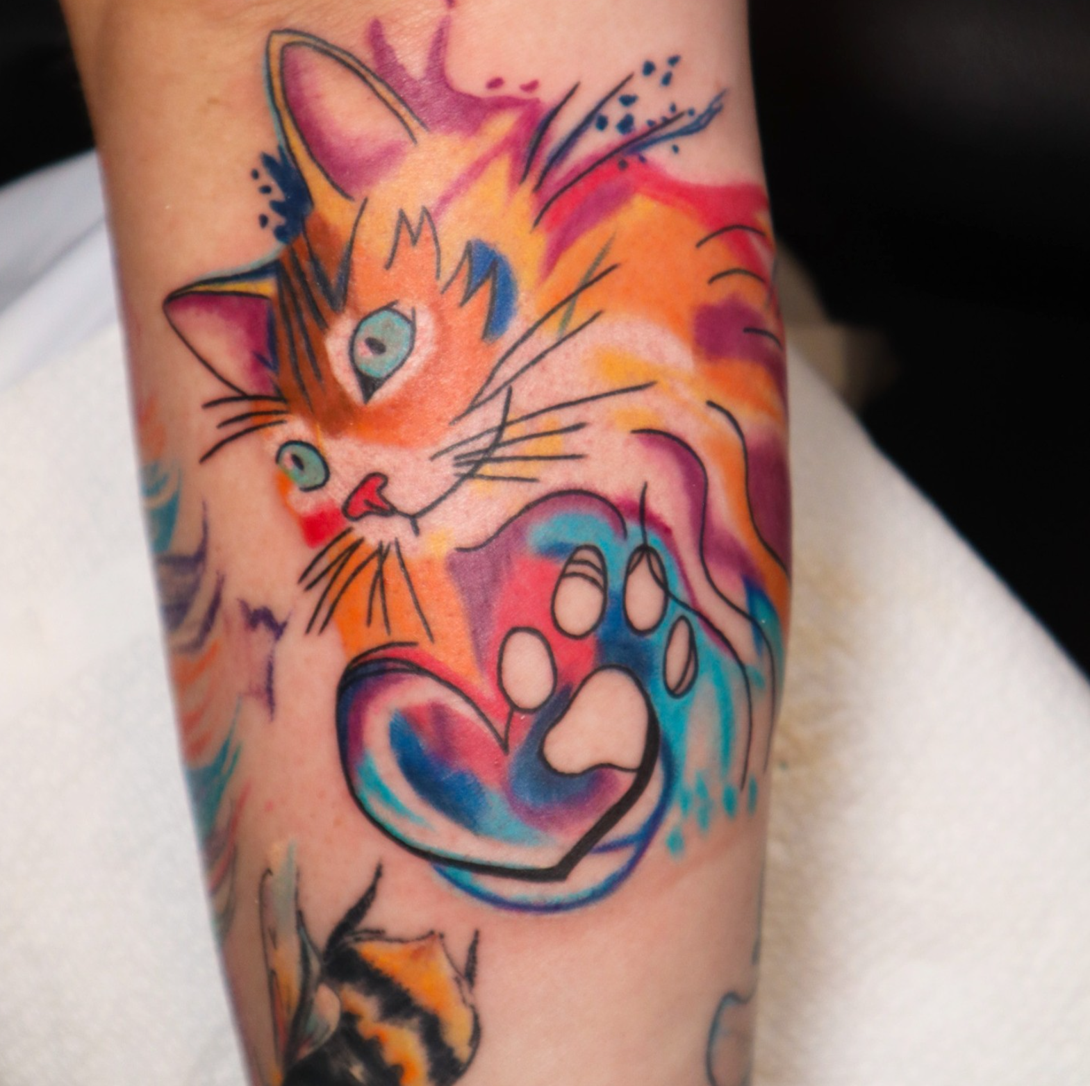 Watercolour Cat tattoo by tattoo artist Willow Thomason located in Wolfville, Nova Scotia