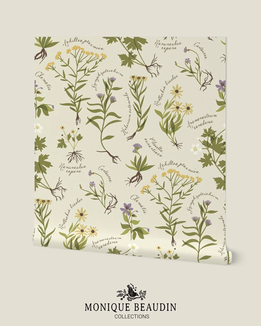 🌟 Voting is now open for your favorite Herbarium Botanicals designs on the Spoonflower website! Link in my bio 🌟

My design, inspired by my own pressed flowers and the Herbier du Qu&eacute;bec (see the last slide for the process), is available in t