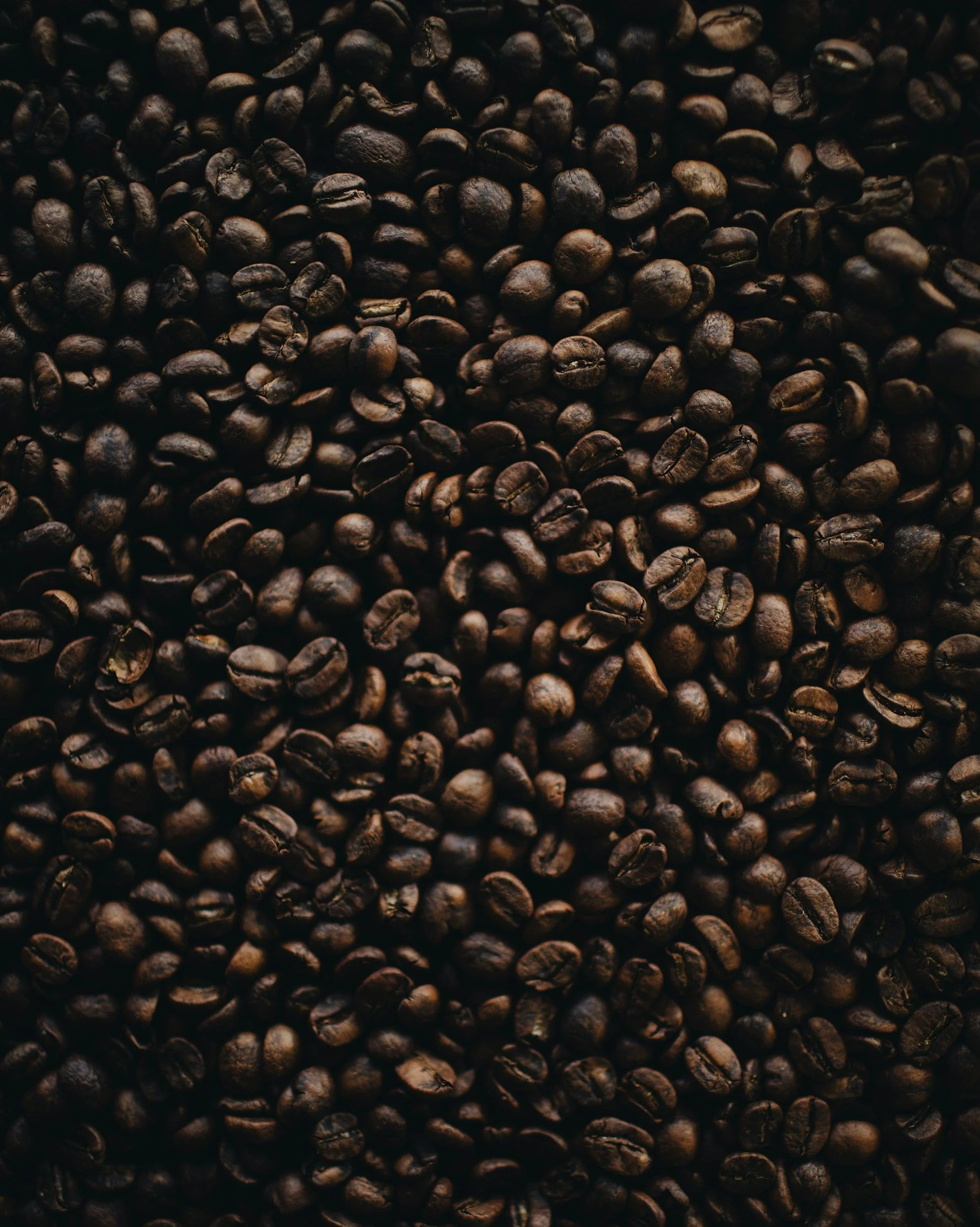 Twice Blessed Coffee House Work Day