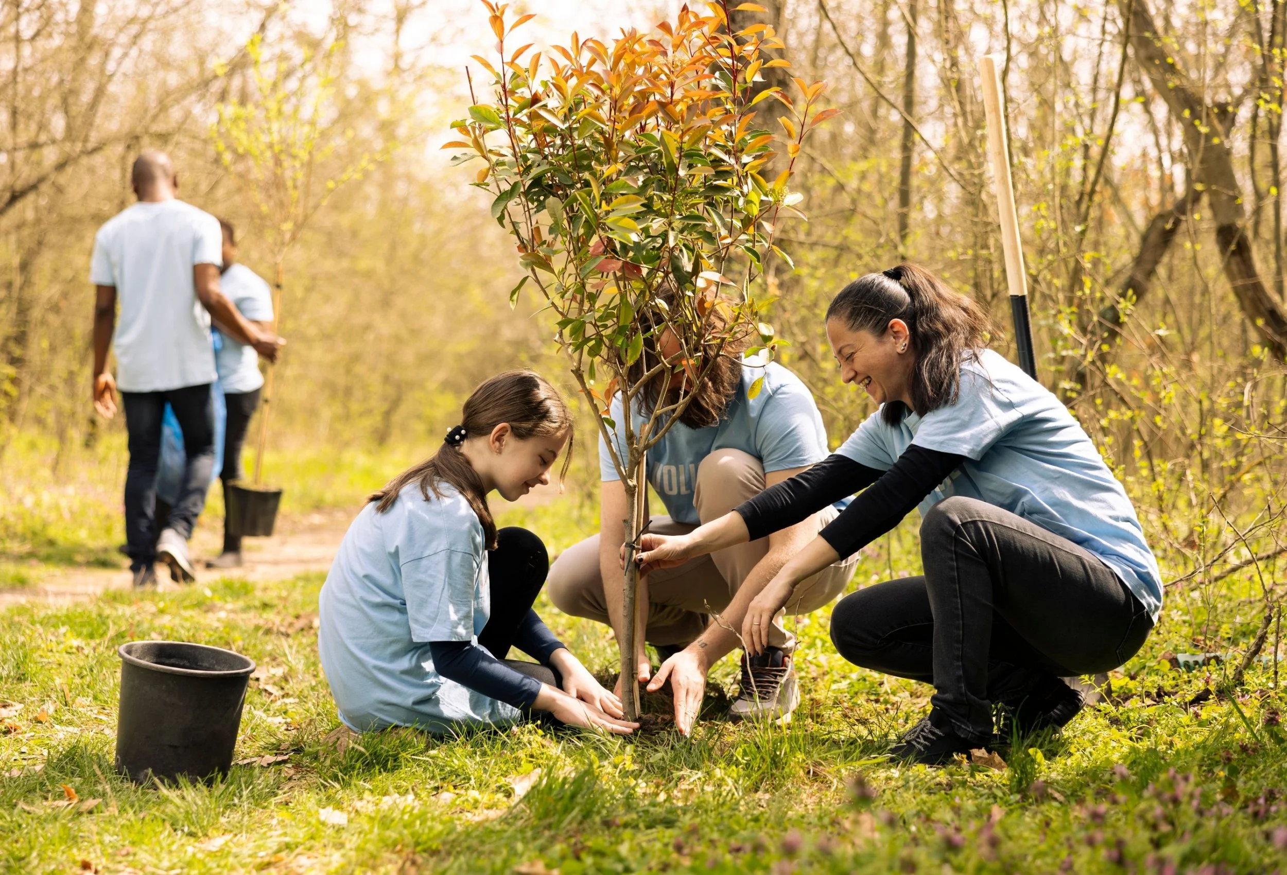 Group of people planting a small tree together outdoors on a sunny day, with others working in the background.
