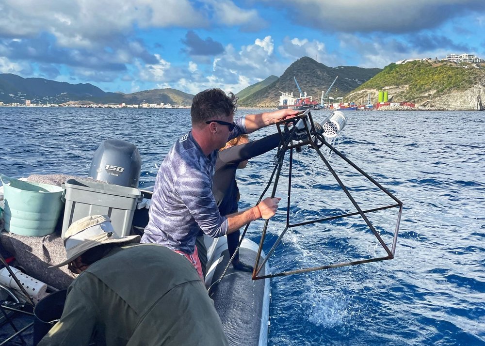 Global Fin Print SXM Divers.jpeg