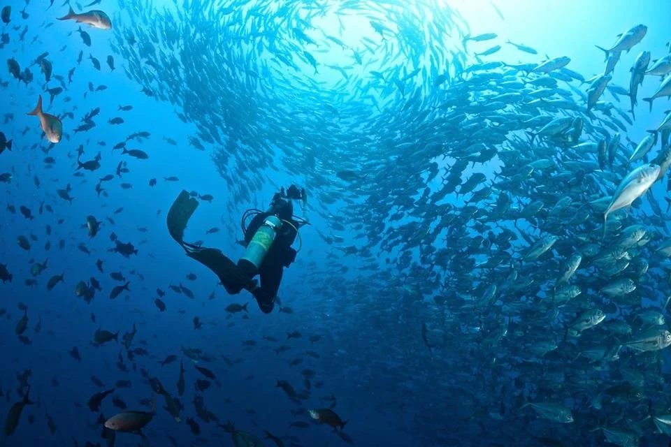 Cocos Island, Costa Rica