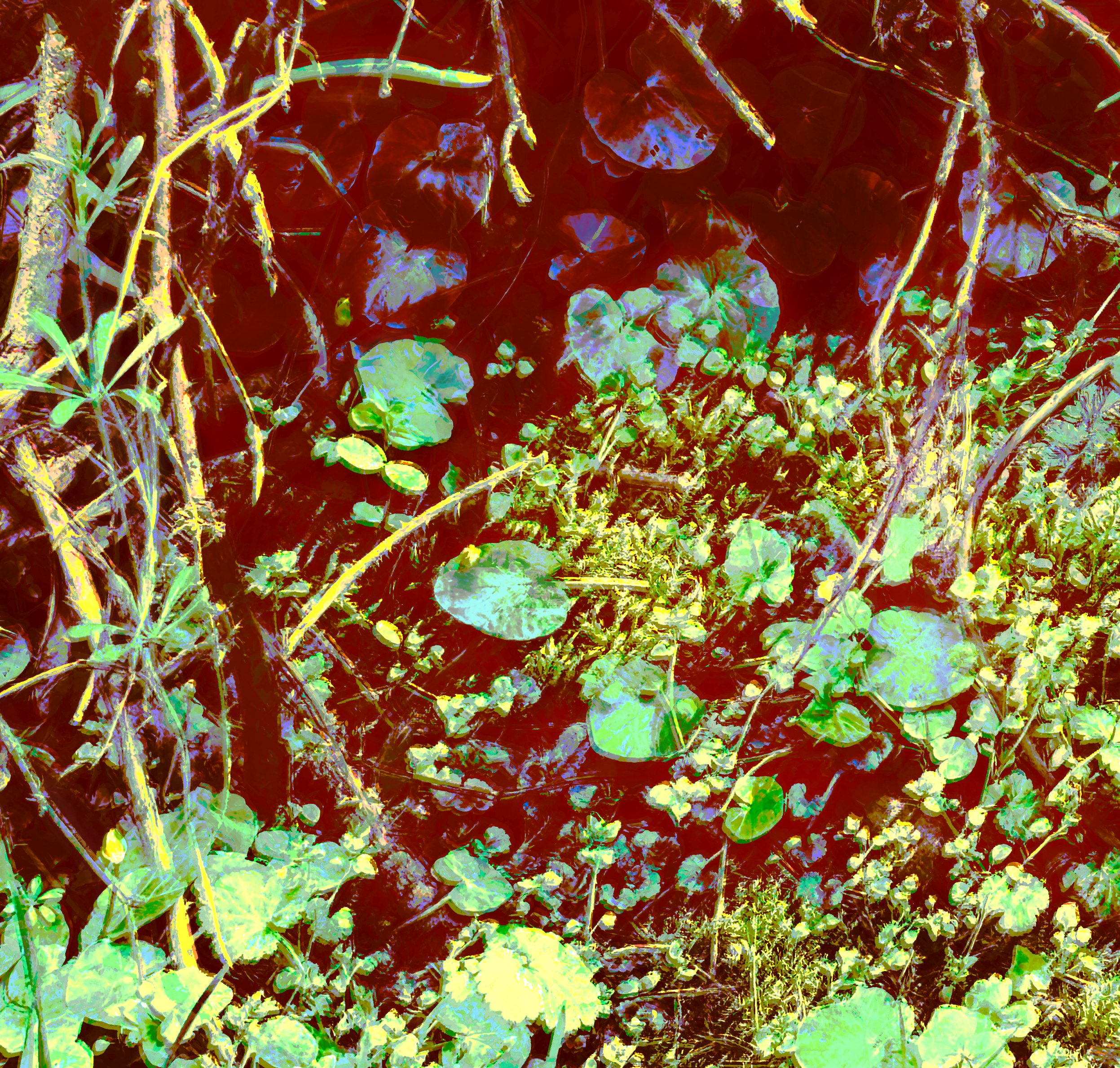 Rotes Nest (April 2026)