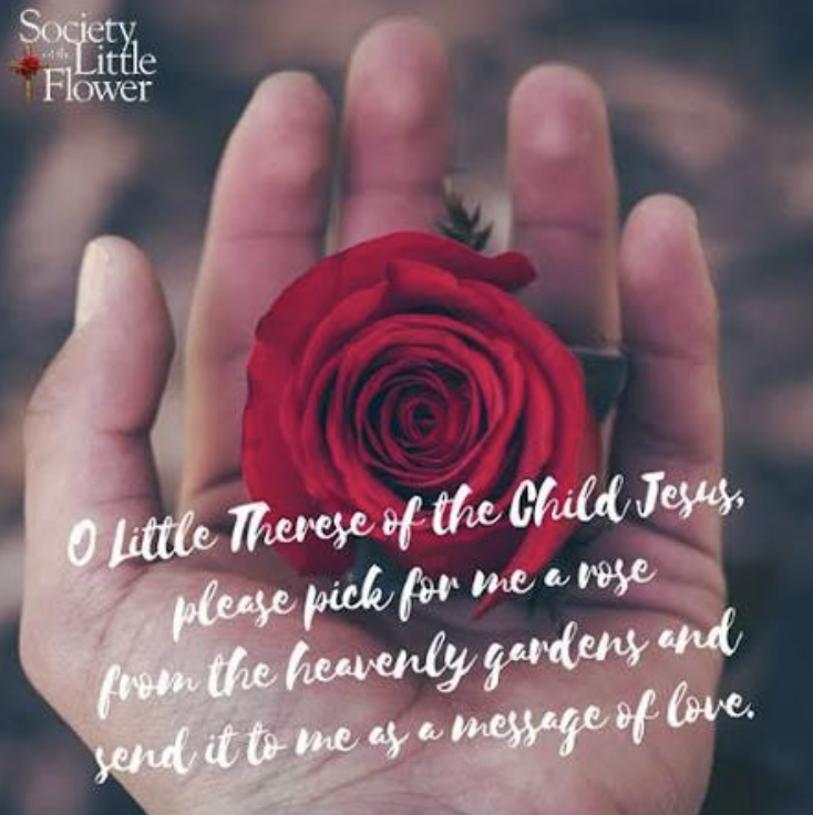 When St. Thérèse Sends You a Rose — But You’re Still Waiting