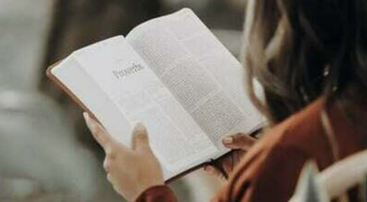 How to Read and Study the Bible: A Simple Catholic Guide