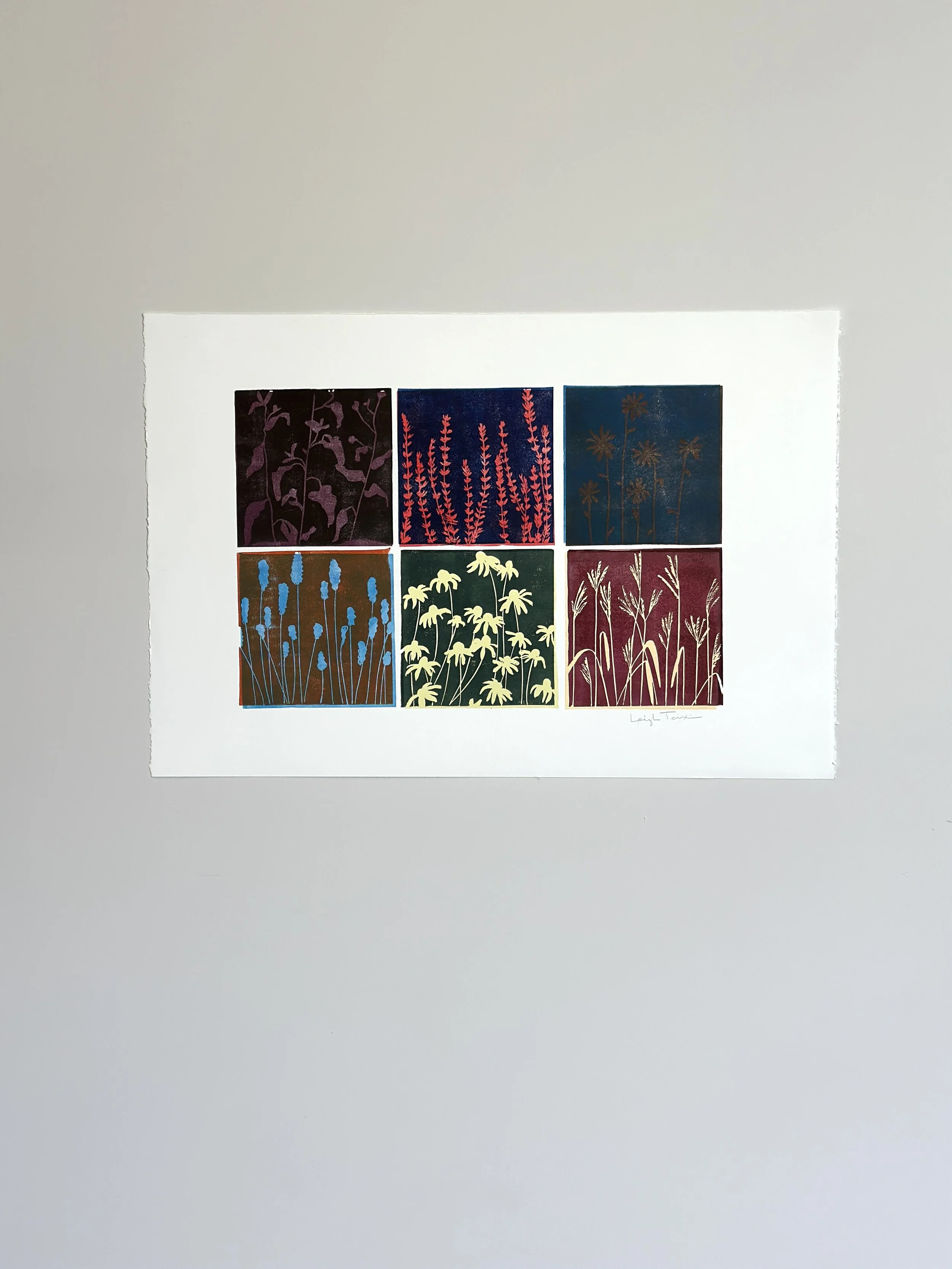 Wildflowers