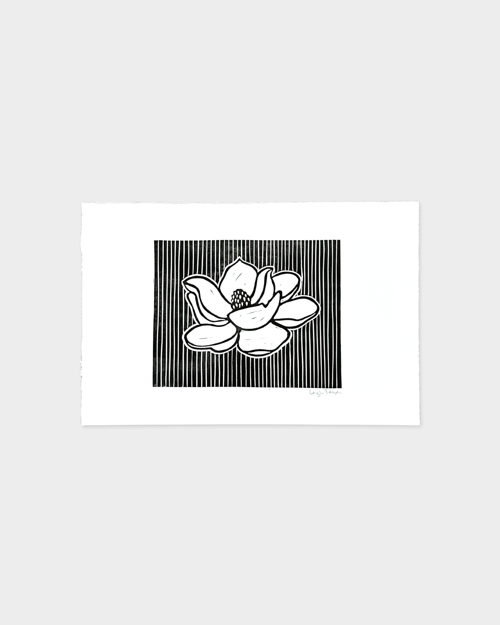 Magnolia