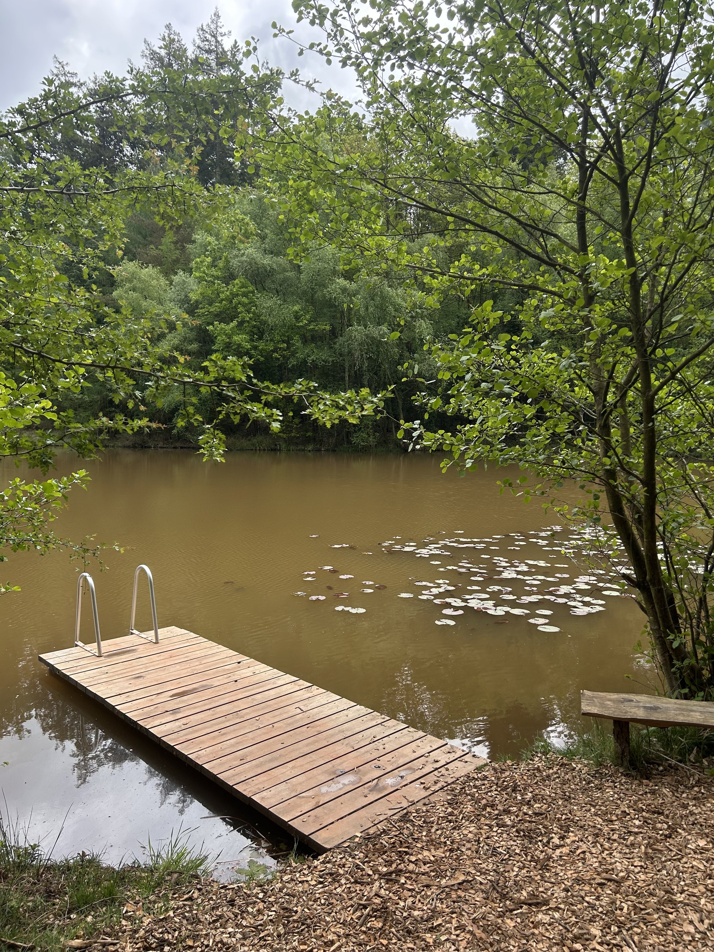 A small wooden dock with metal ladders extending into a muddy brown lake surrounded by green trees and foliage.