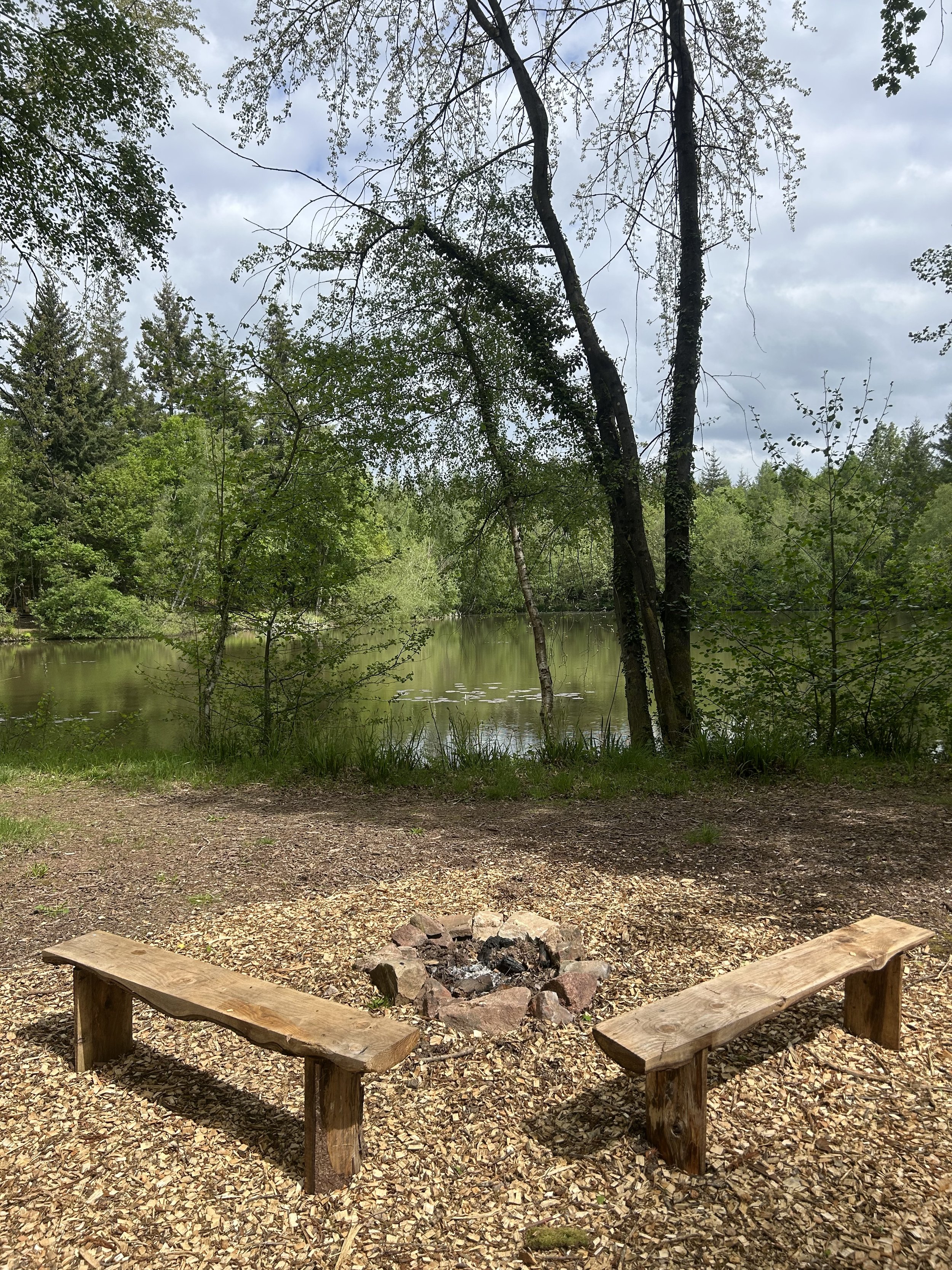 Two wooden benches facing a small campfire pit near a lake, surrounded by trees under a cloudy sky.